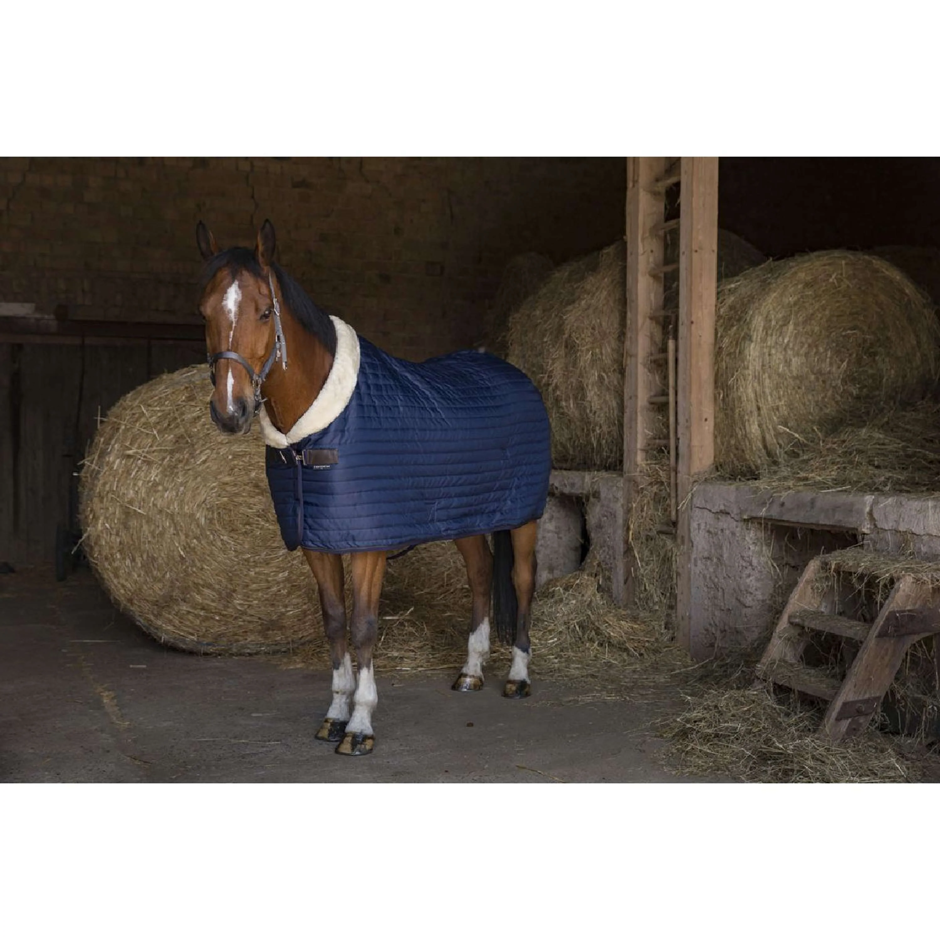 EQUITHÈME Coperta da scuderia Teddy Foderato con Pelle di Pecora Sintetica Navy - Image 9
