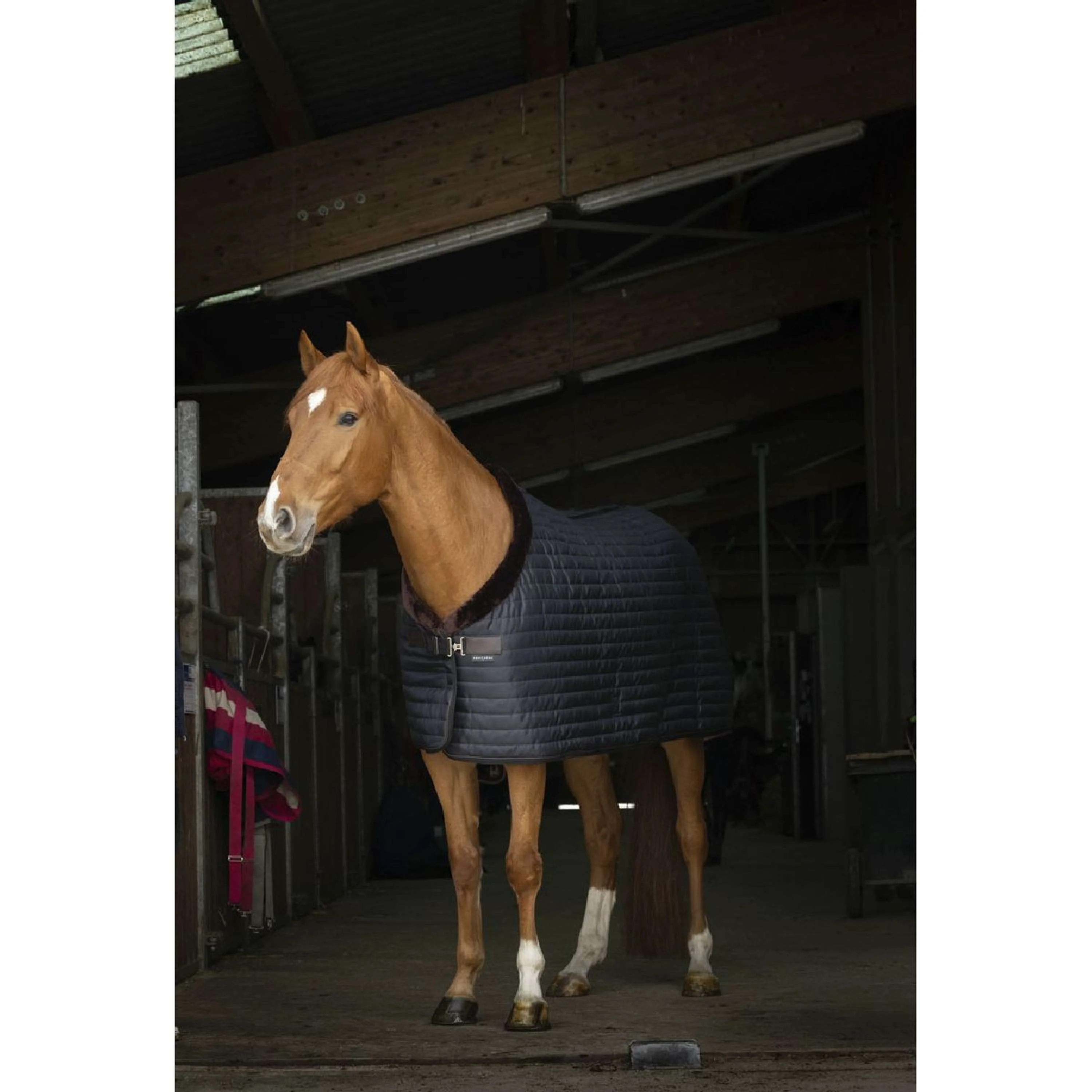 EQUITHÈME Coperta da scuderia Teddy Nero/Marrone - Image 9