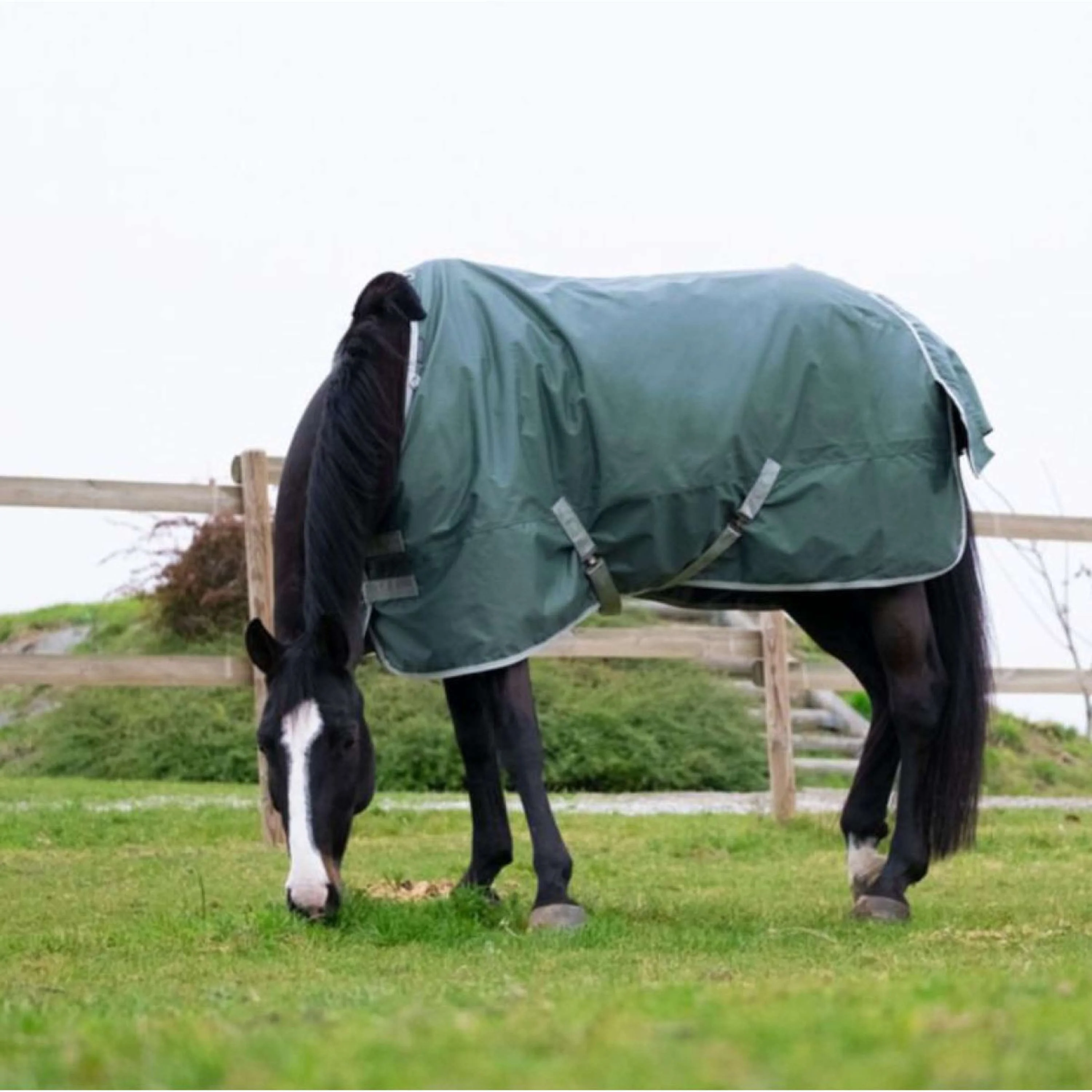 EQUITHÈME Coperta Impermeabile Tyrex 600D 0g Verde