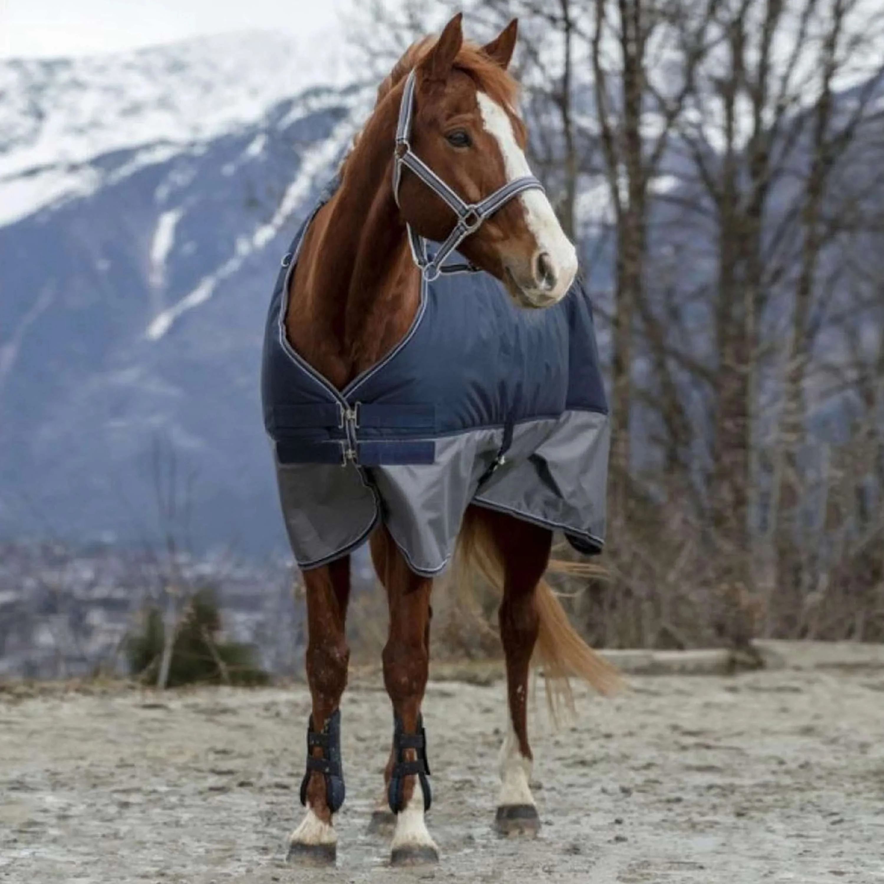 EQUITHÈME Coperta Impermeabile Tyrex 600D Punti blu scuro/grigi - Image 3
