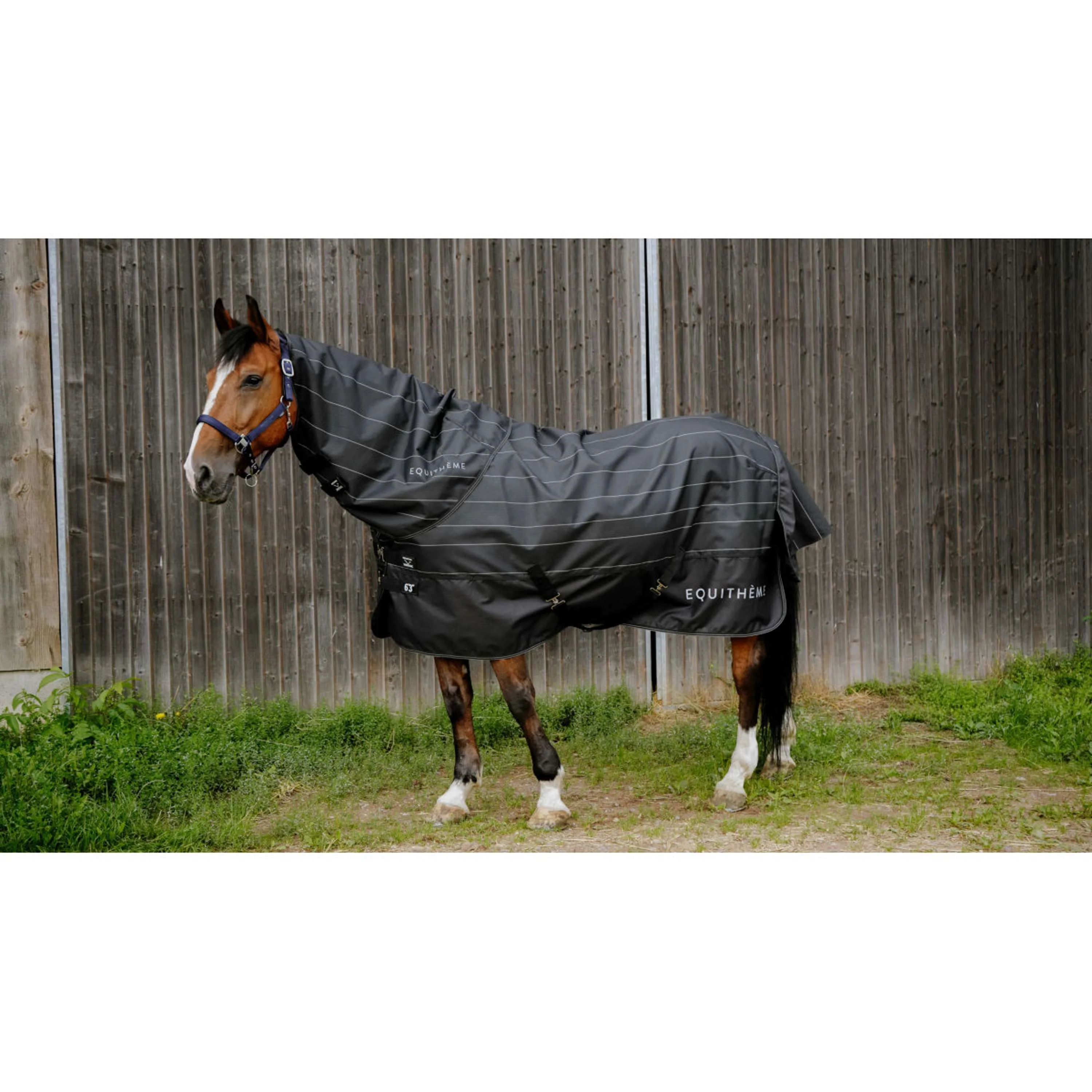 EQUITHÈME Coperta Impermeabile TYREX Lumin 600D 0g Nero - Image 2