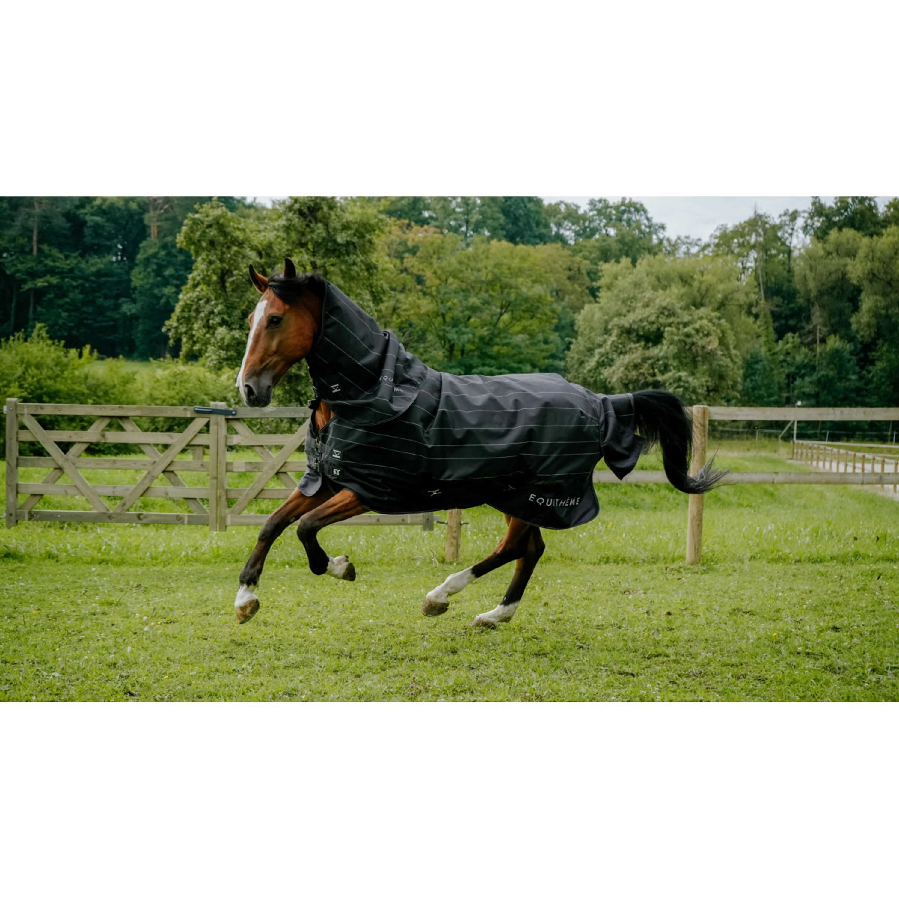 EQUITHÈME Coperta Impermeabile TYREX Lumin 600D 0g Nero - Image 7