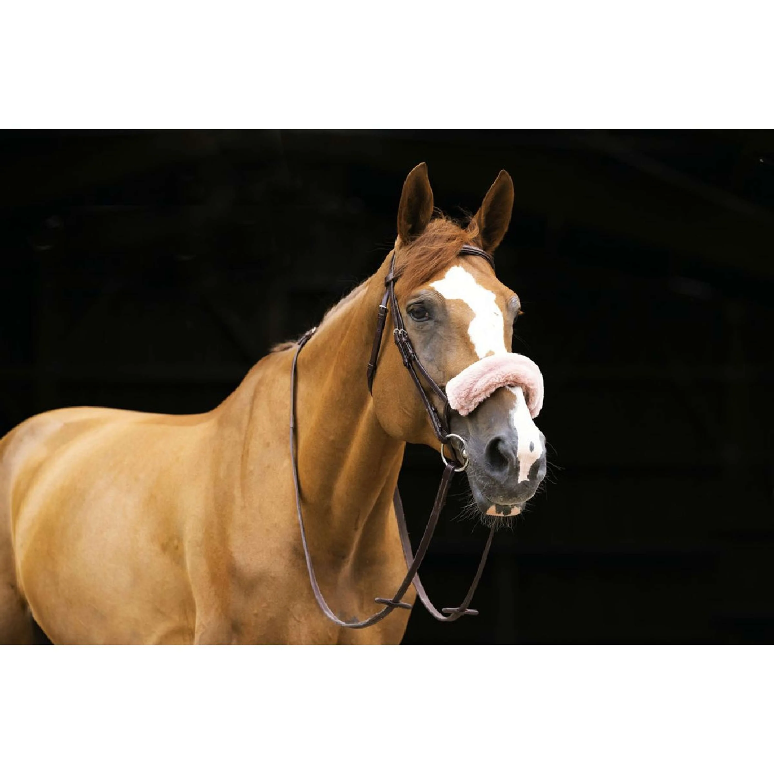 EQUITHÈME Fodera per Nasello Teddy Oro rosa - Image 2