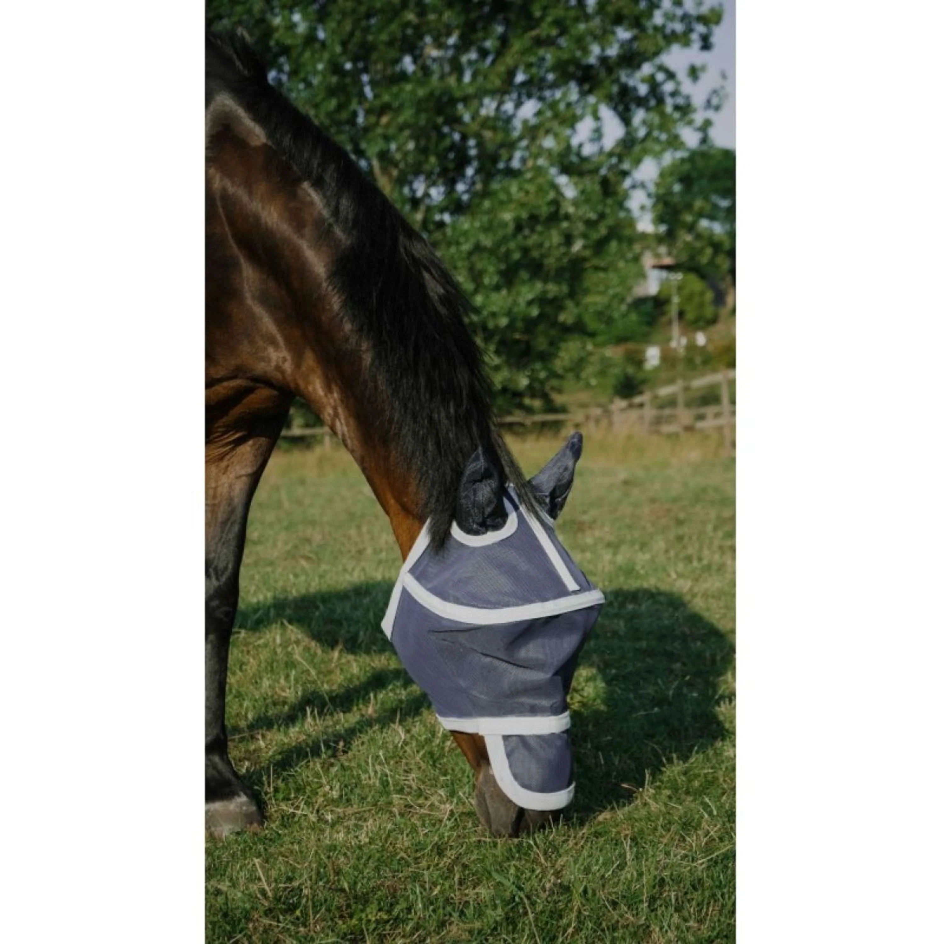EQUITHÈME Maschera Antimosche Hoop con Protezione UV Navy - Image 10