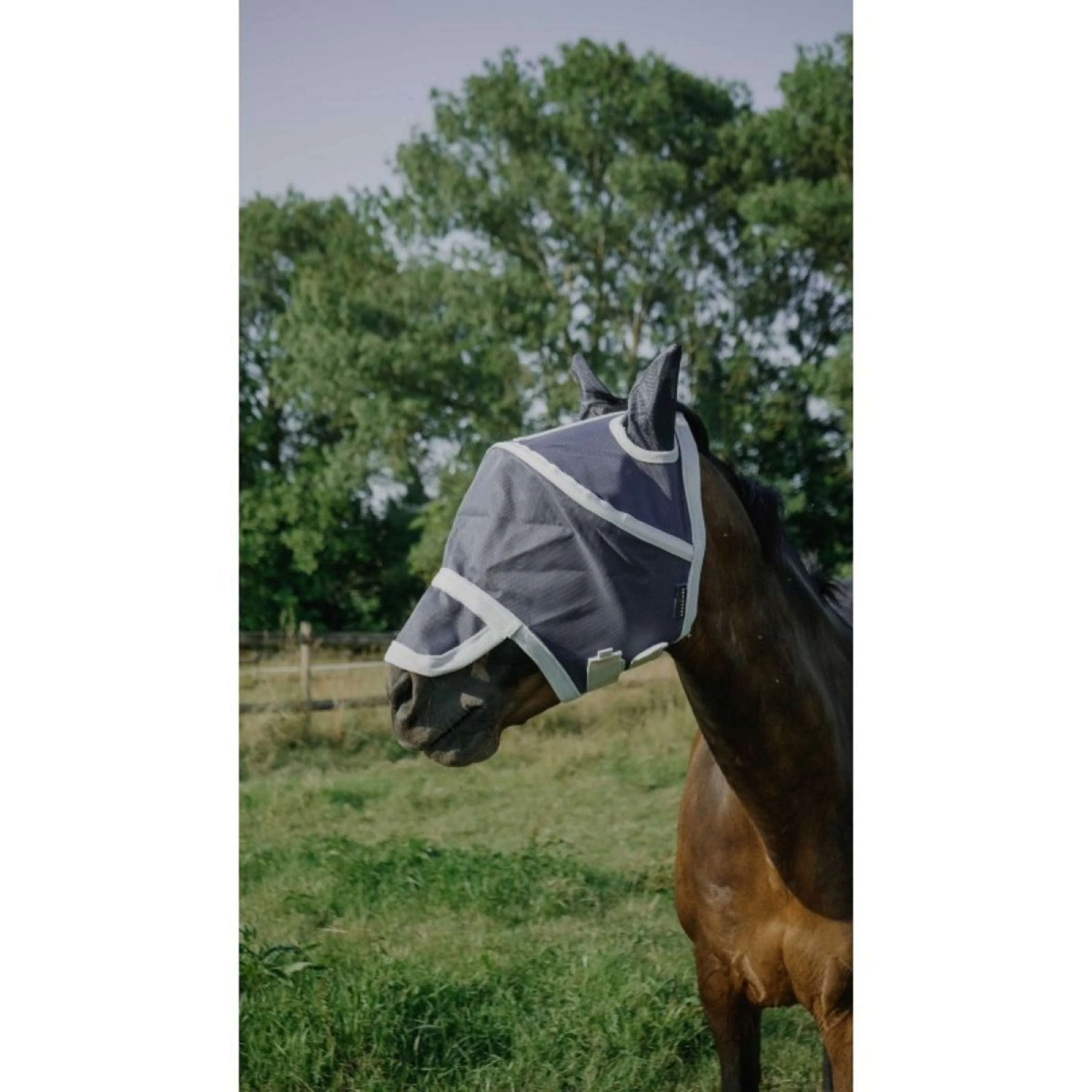 EQUITHÈME Maschera Antimosche Hoop con Protezione UV Navy - Image 9