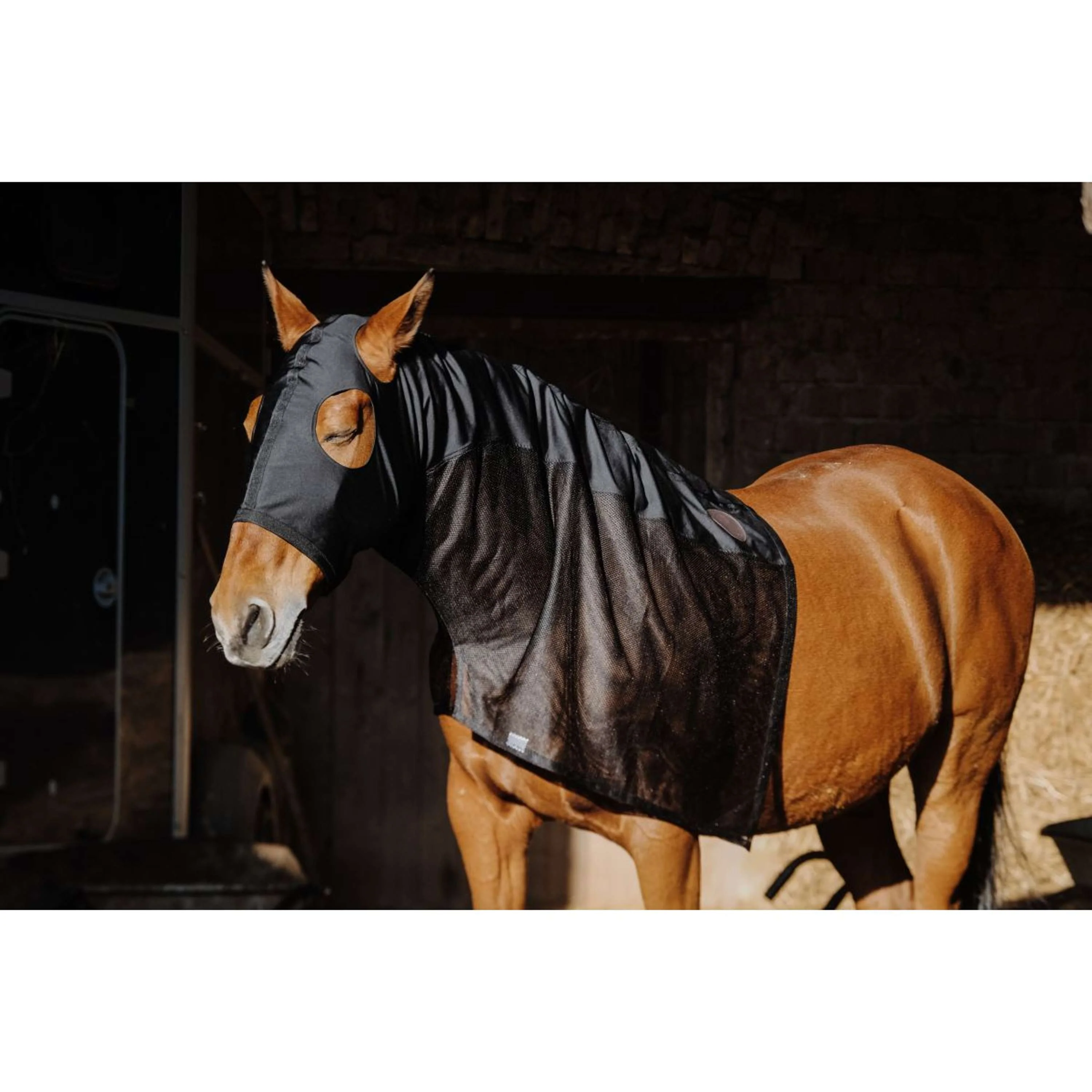 EQUITHÈME Protezione per il collo Lycra/Mesh Nero - Image 5