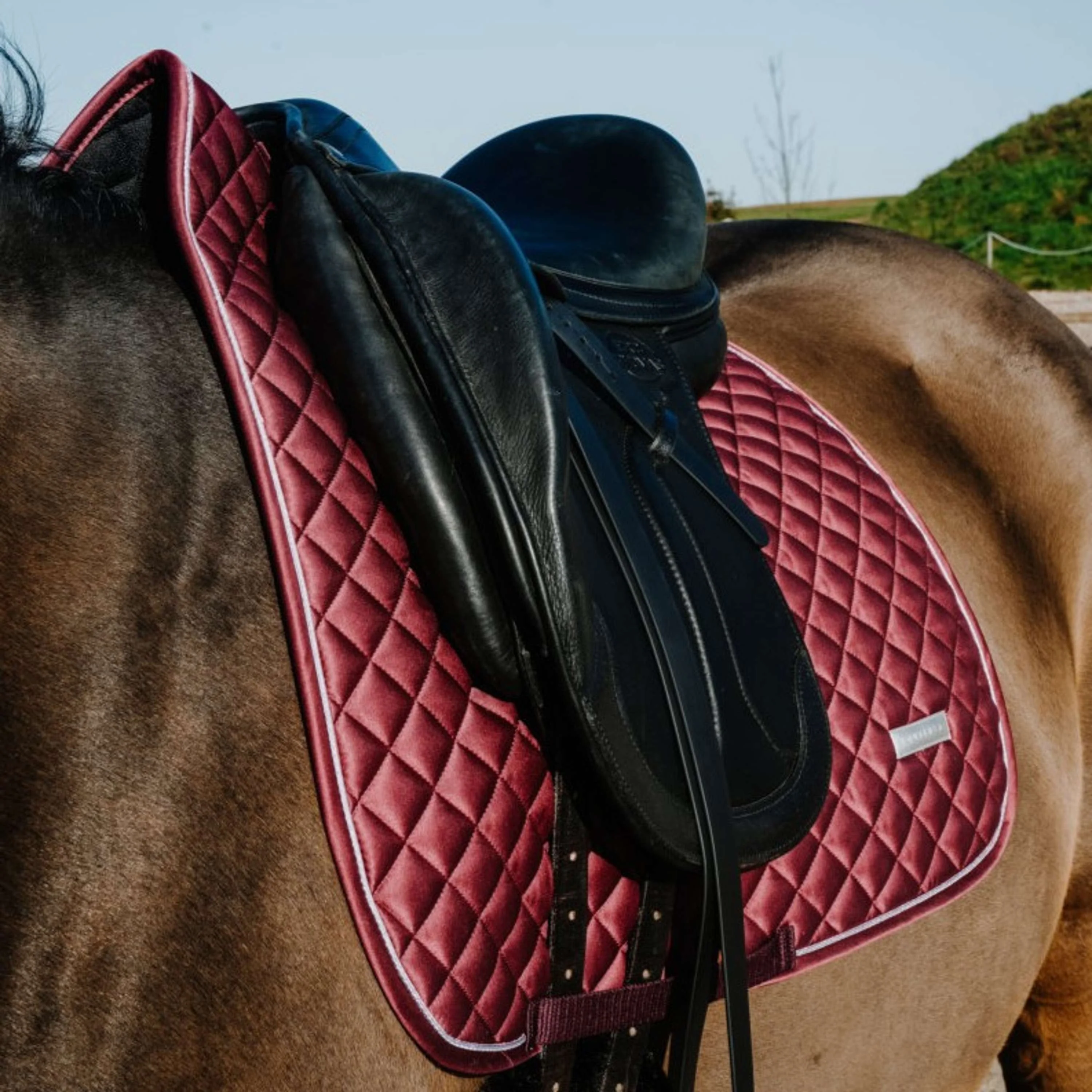 EQUITHÈME Sottosella Nacre Dressage Bordeaux - Image 3