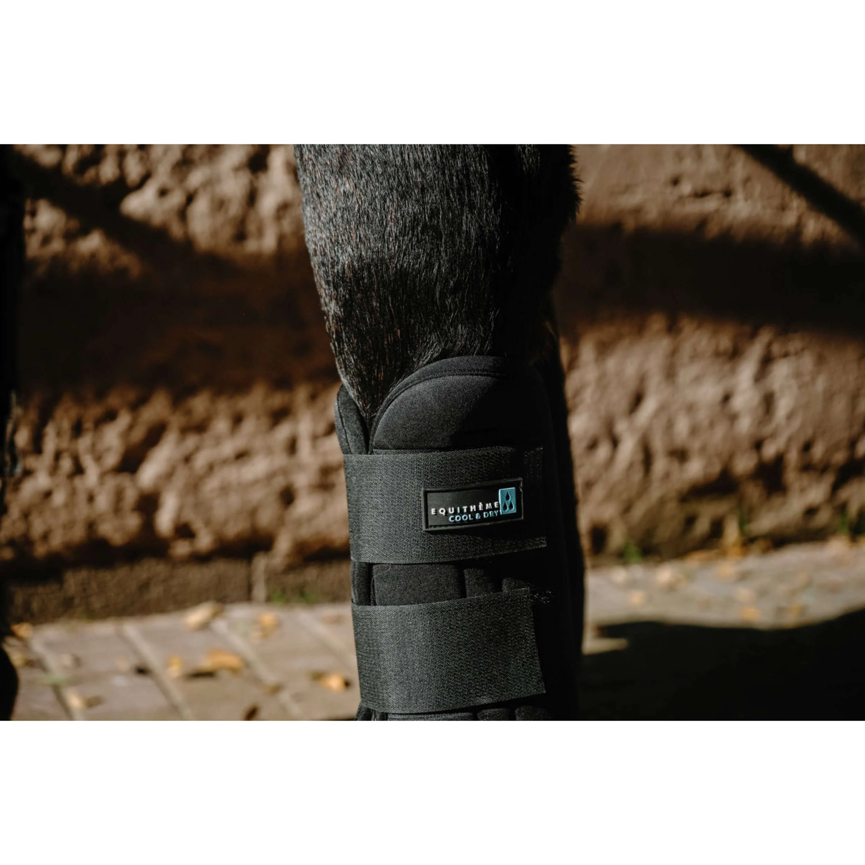 EQUITHÈME Stinchiere Cool&Dry Nero - Image 6