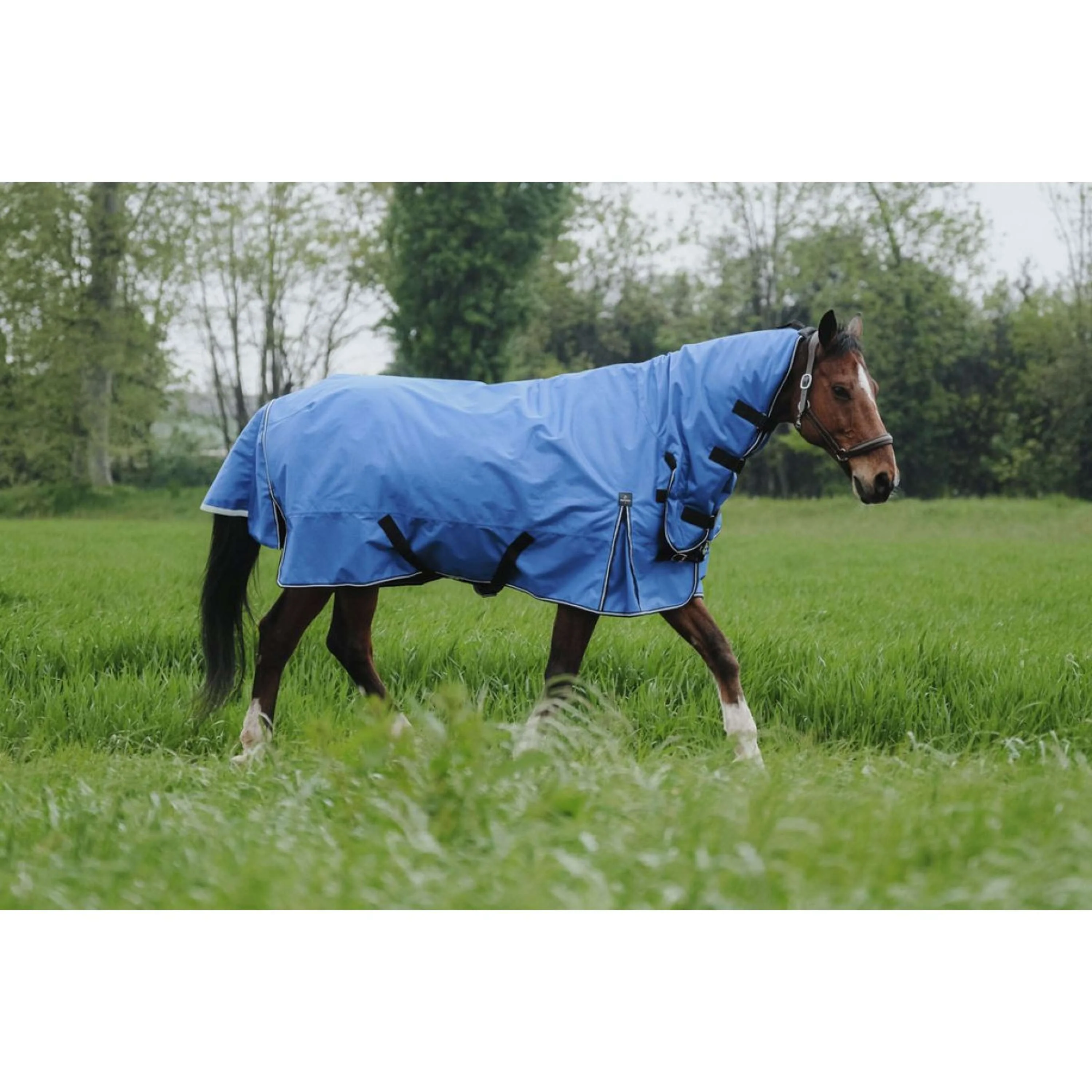 EQUITHÈME Tappeto da Esterno 1200D 100g Aisance Combo Royal Blue - Image 2