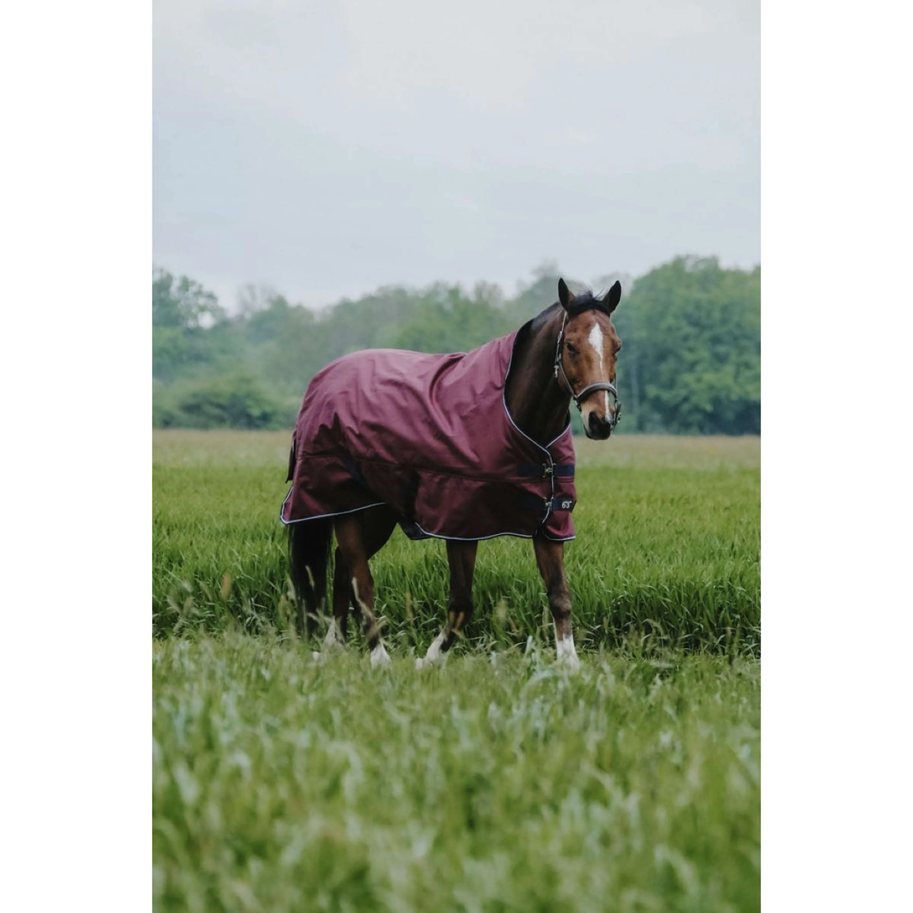 EQUITHÈME Tappeto da Esterno 1200D 150g High Neck Borgogna