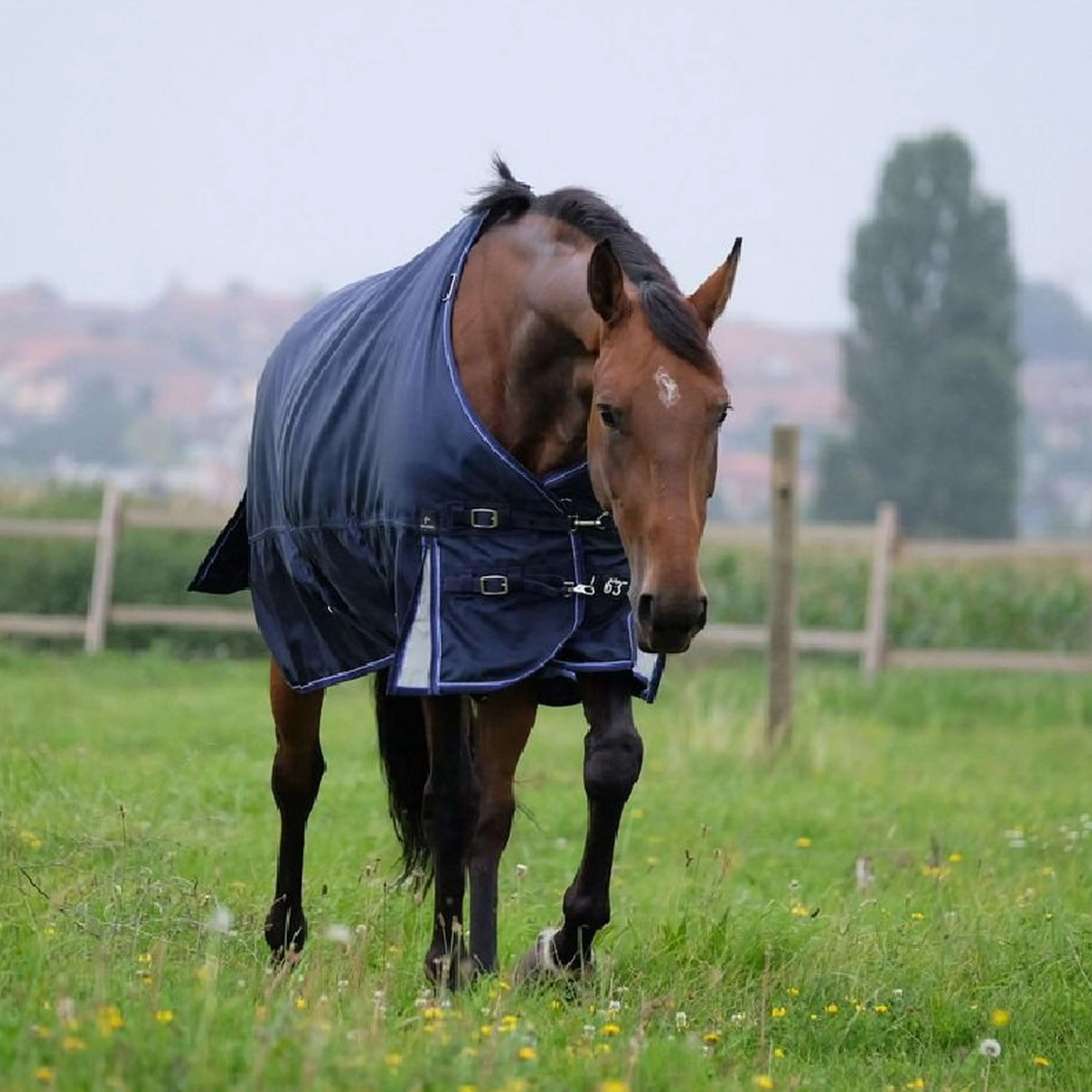 EQUITHÈME Tappeto da Esterno Pro Series Tyrex 1680D 220g con collo Navy