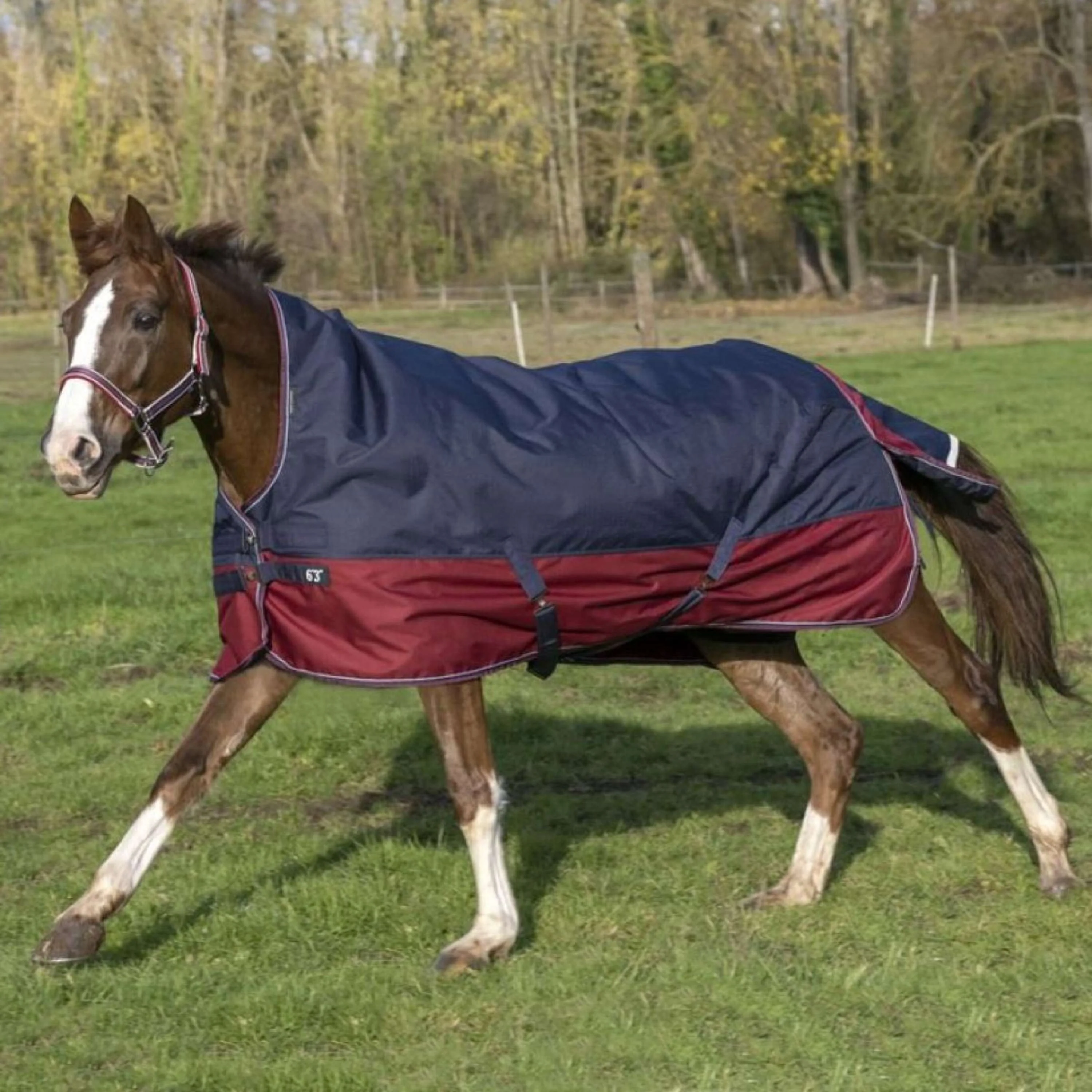 EQUITHÈME Tappeto da Esterno Tyrex 1200D 50g con Mezza Collo Navy/Bordeaux
