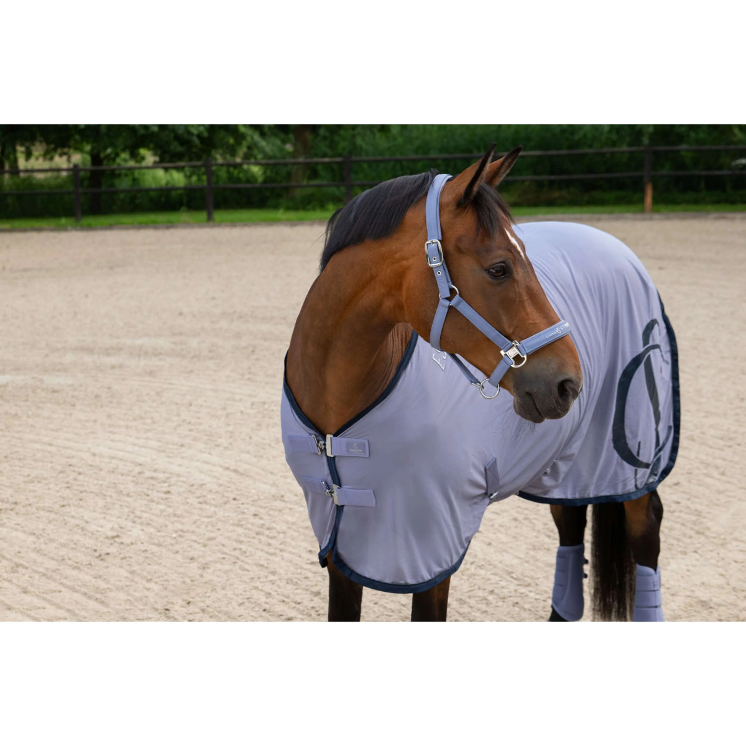 Eskadron Cavezza Classic Sports Sparkle Orchid - Image 2