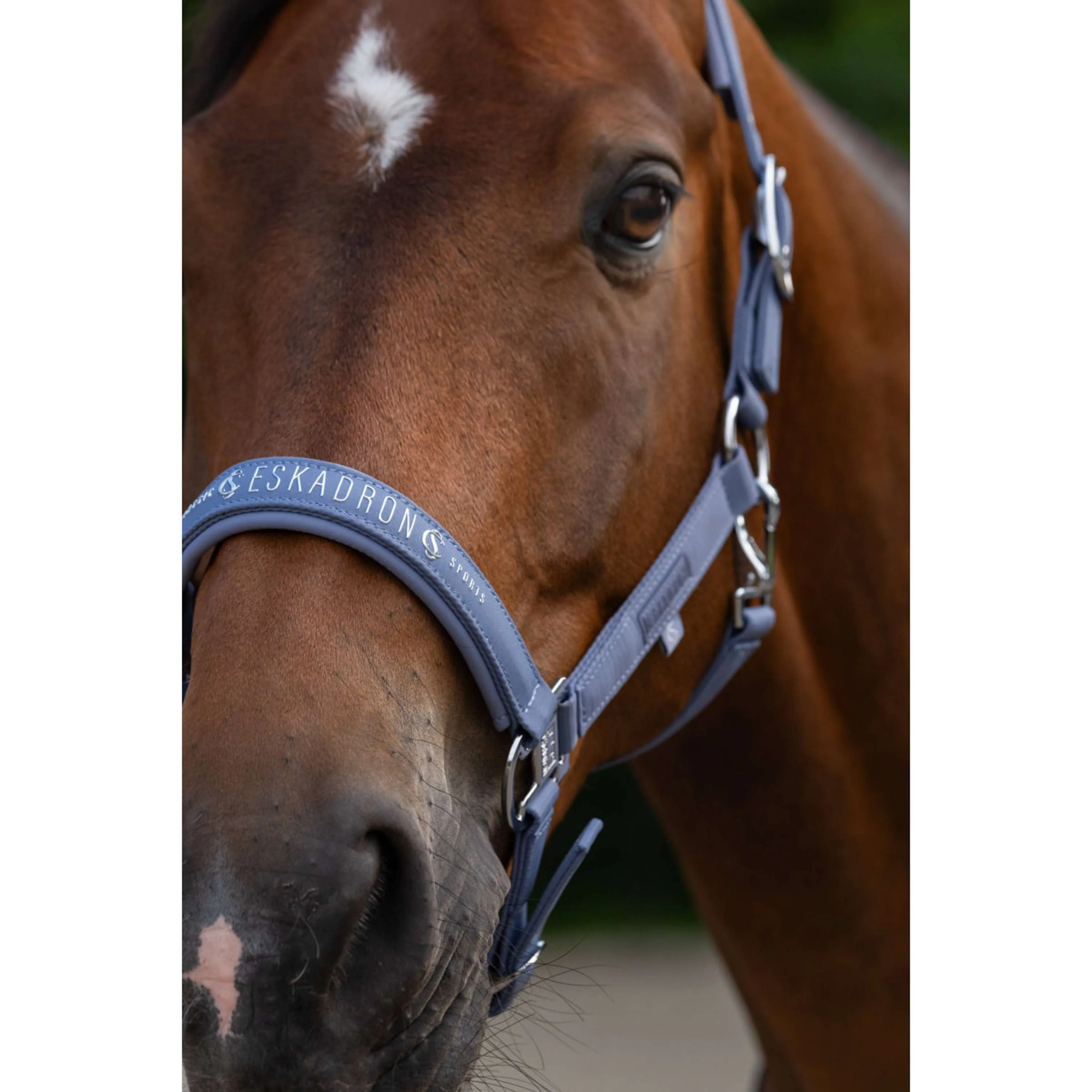Eskadron Cavezza Classic Sports Sparkle Orchid - Image 3