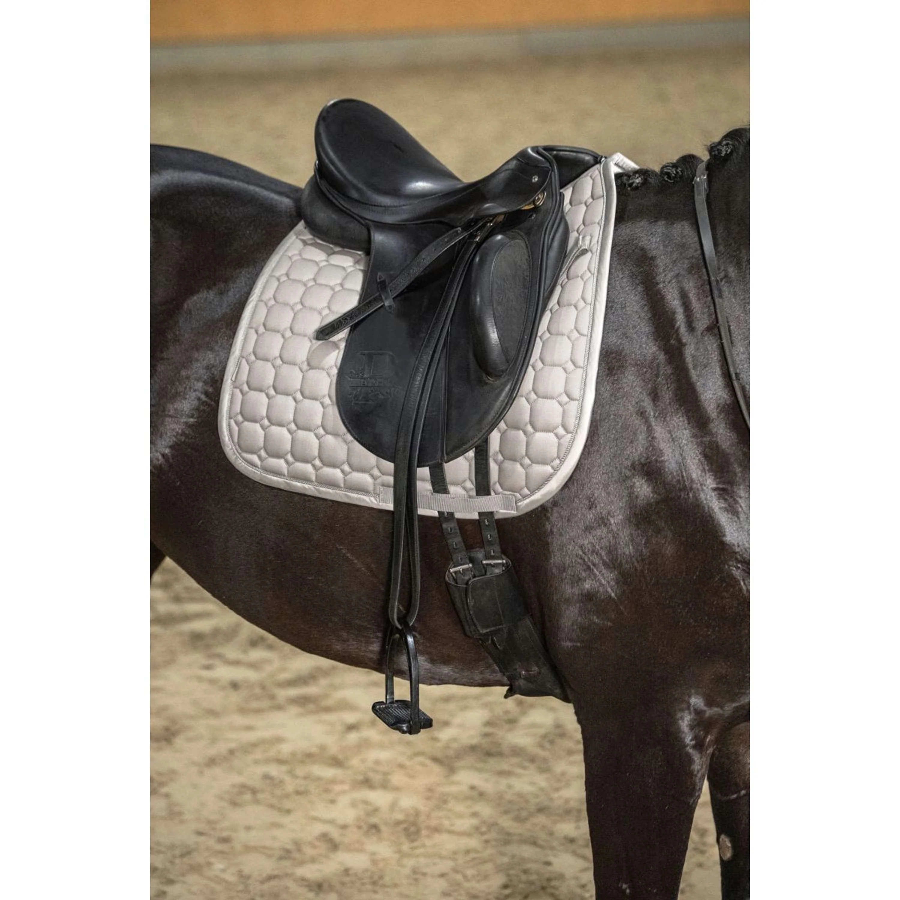 Eskadron Sottosella Platinum '26 Cotton Dressage Pale Grey - Image 2