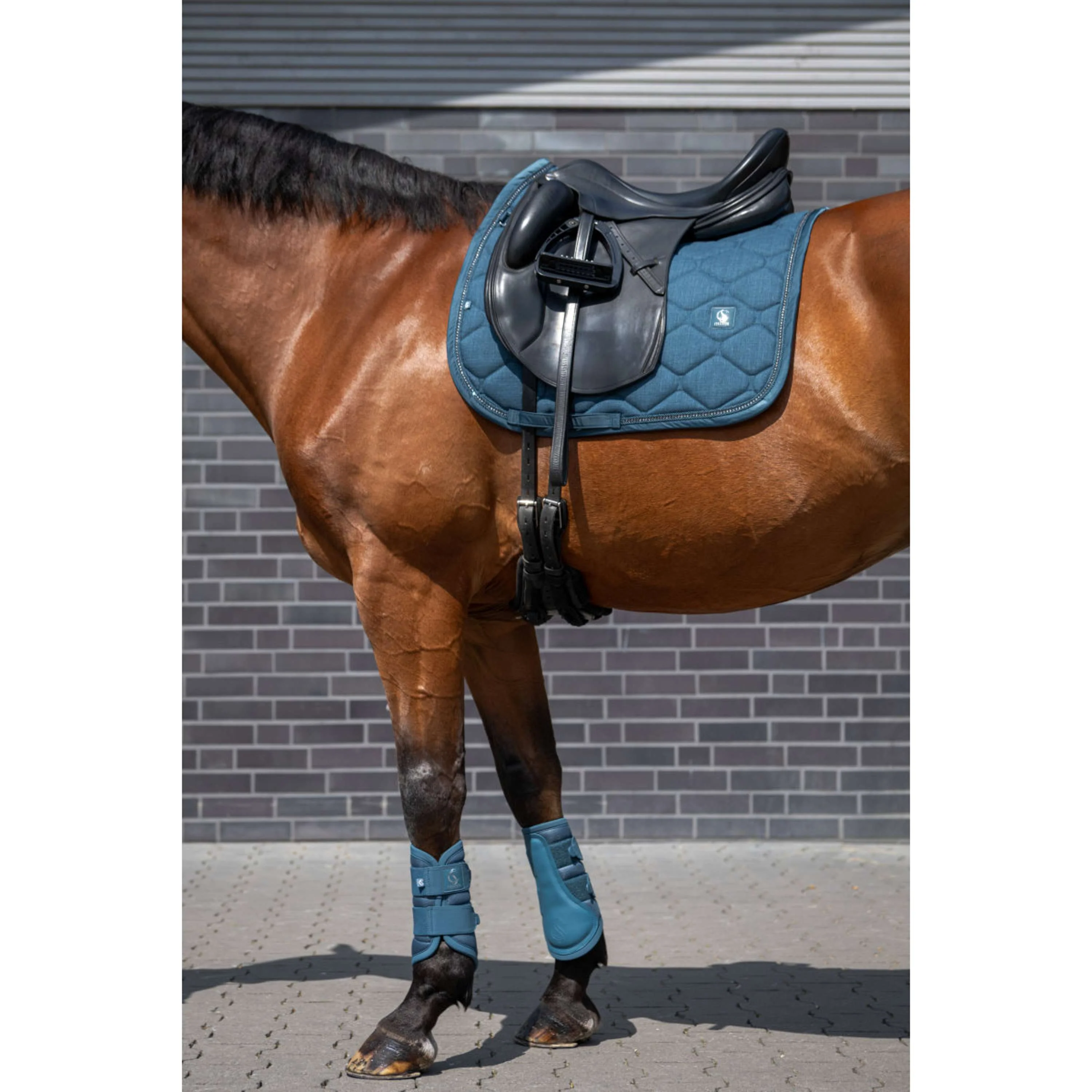 Eskadron Sottosella Classic Sports Bouclé Crustal Dressage Ocean - Image 2