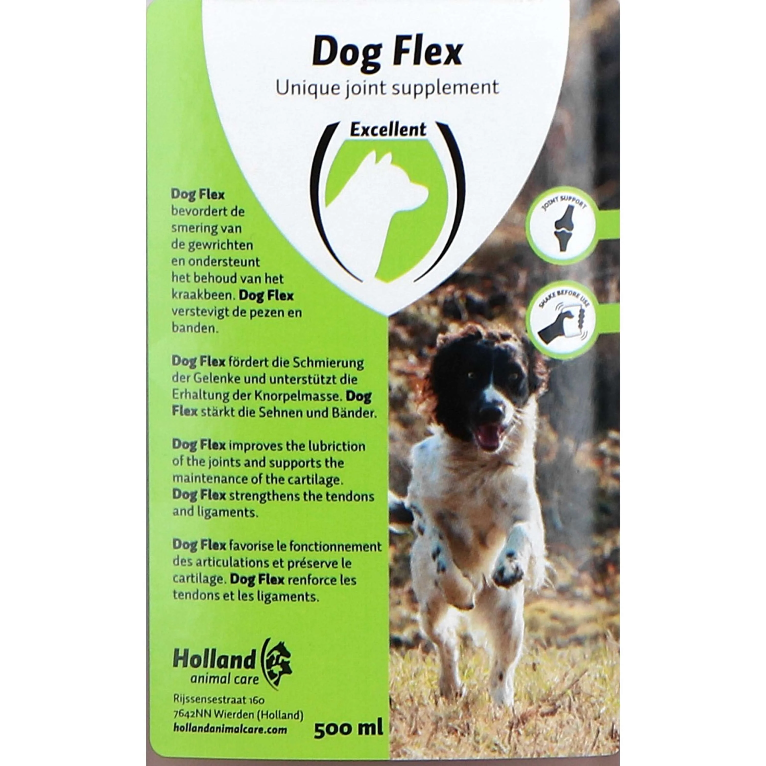 Excellent Flessione del cane - Image 4