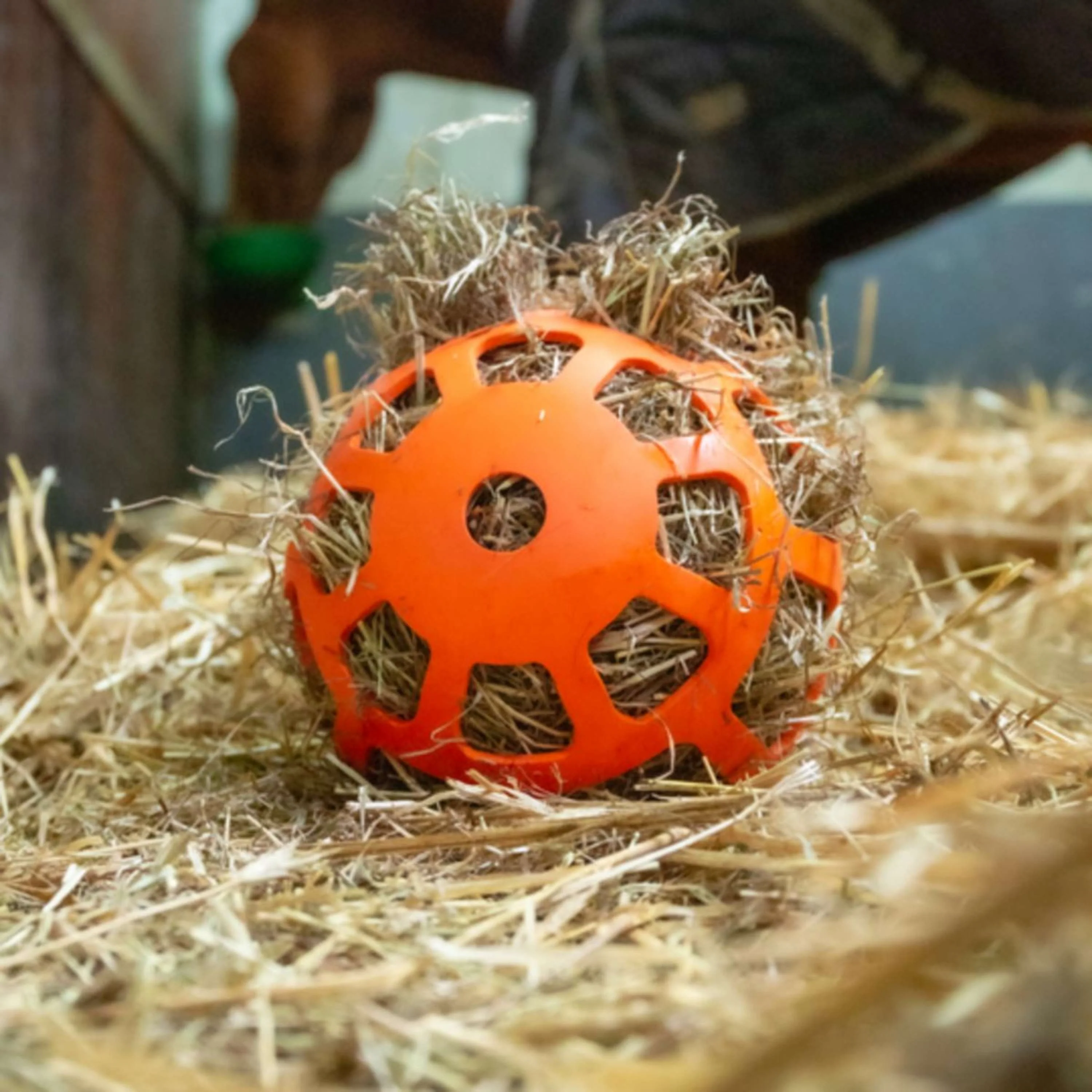 Excellent Hay Slowfeeder Fun and Flex Arancia - Image 3
