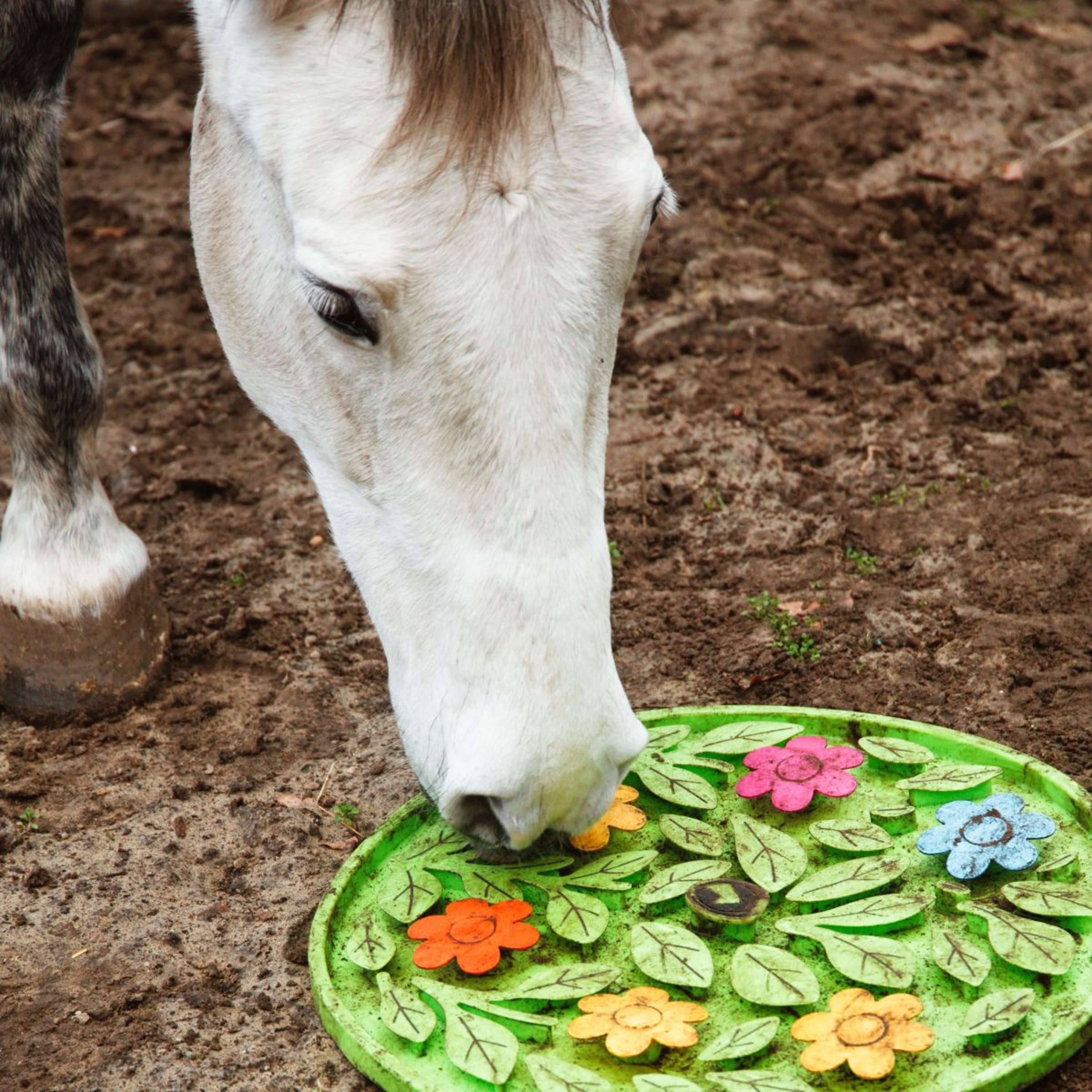 Excellent Tappeto Olfattivo Horse Flower Power - Image 4