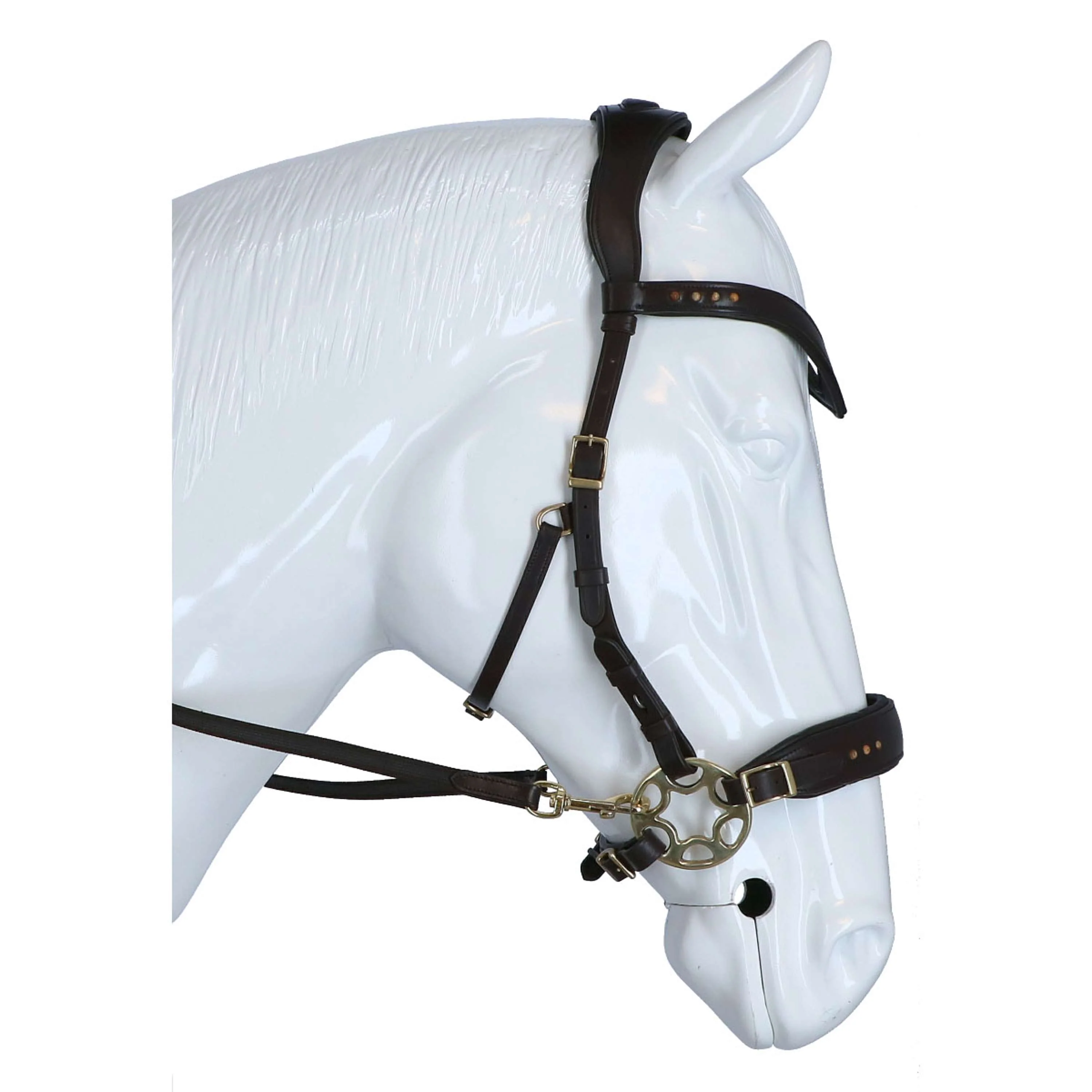 F.R.A. Briglia Glory Marrone - Image 3