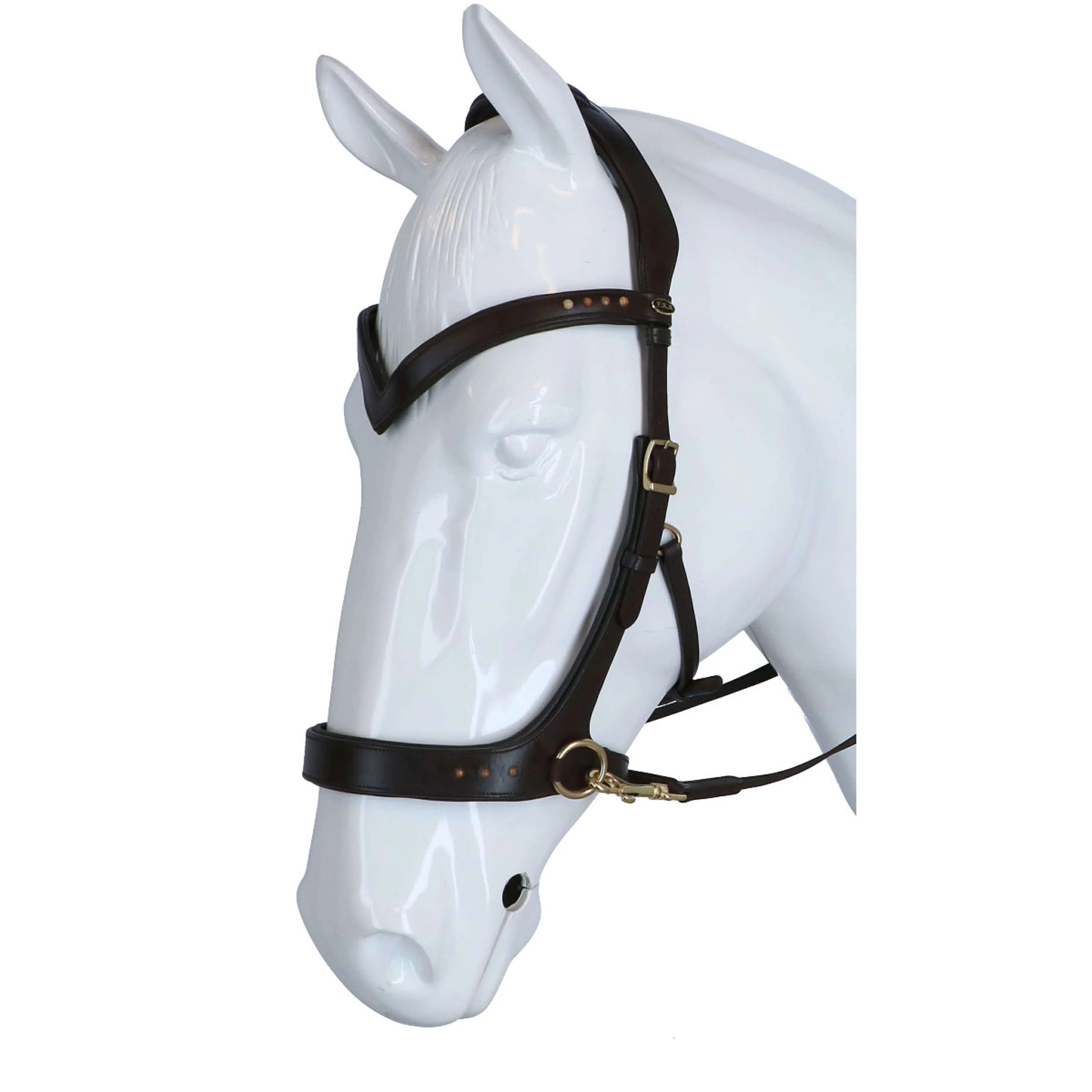 F.R.A. Briglia Glory Marrone - Image 2