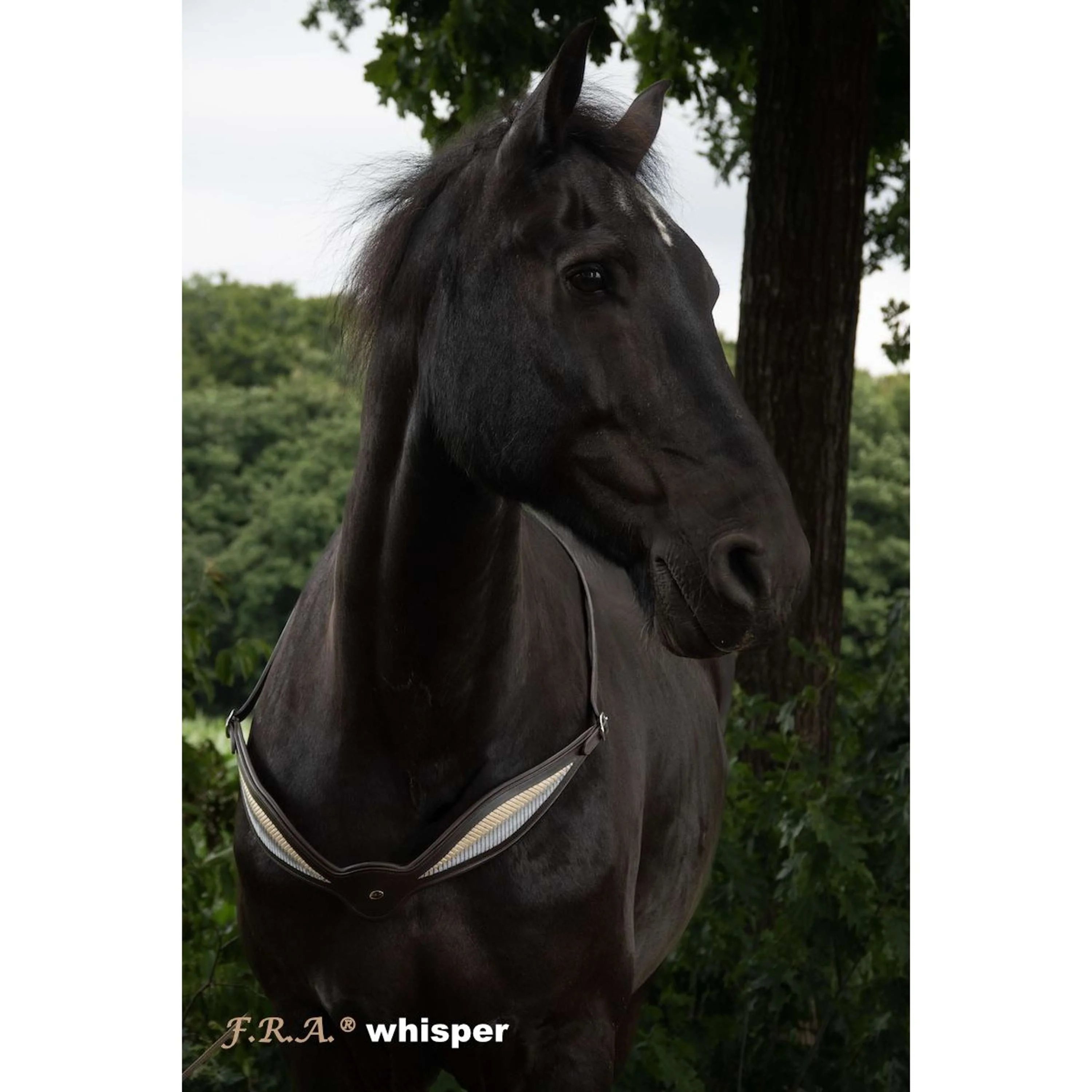 F.R.A. Redine di Equilibrio Whisper Marrone - Image 6
