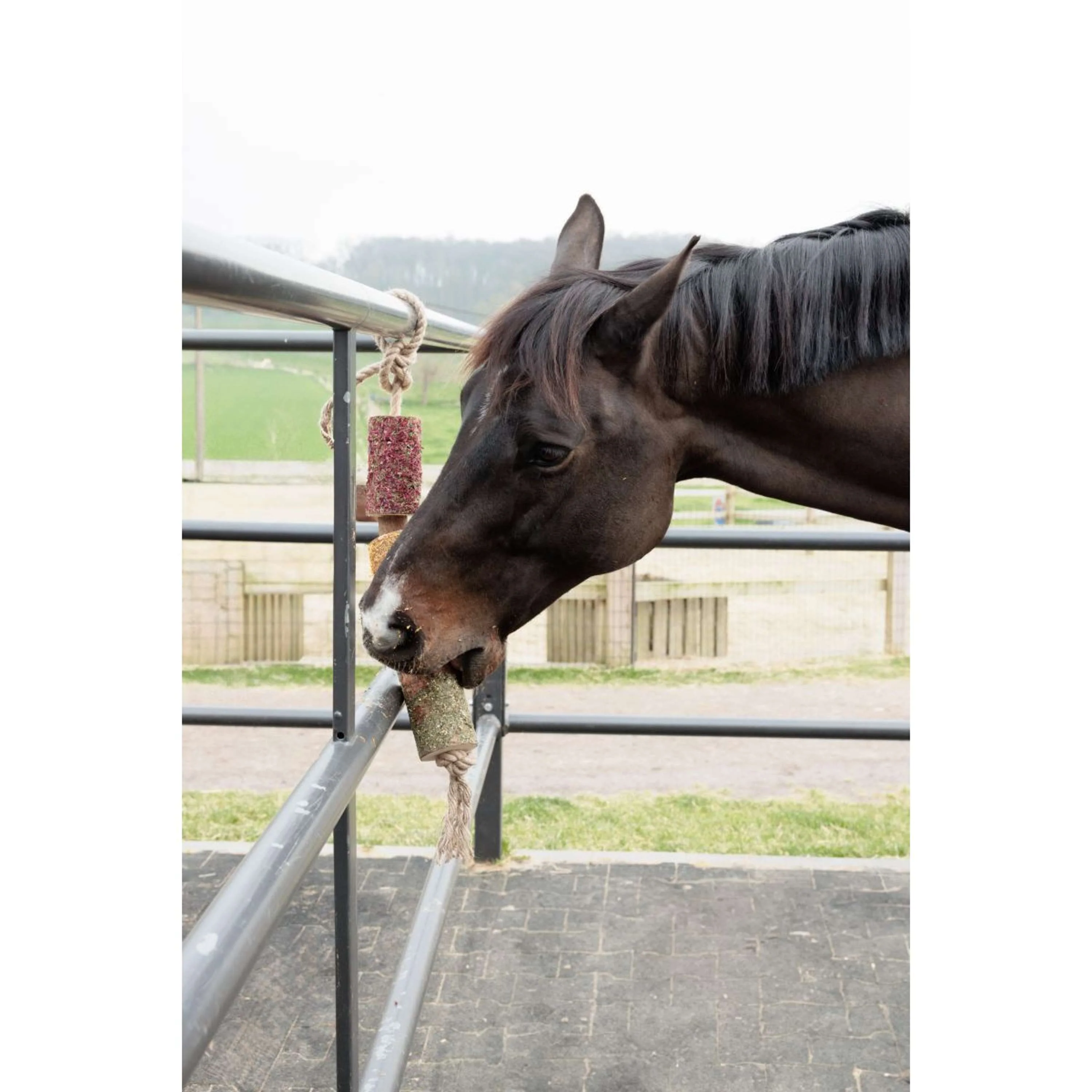 Grooming Deluxe by Kentucky Rilassa il cavallo giocattolo Wooden De-Stress - Image 4