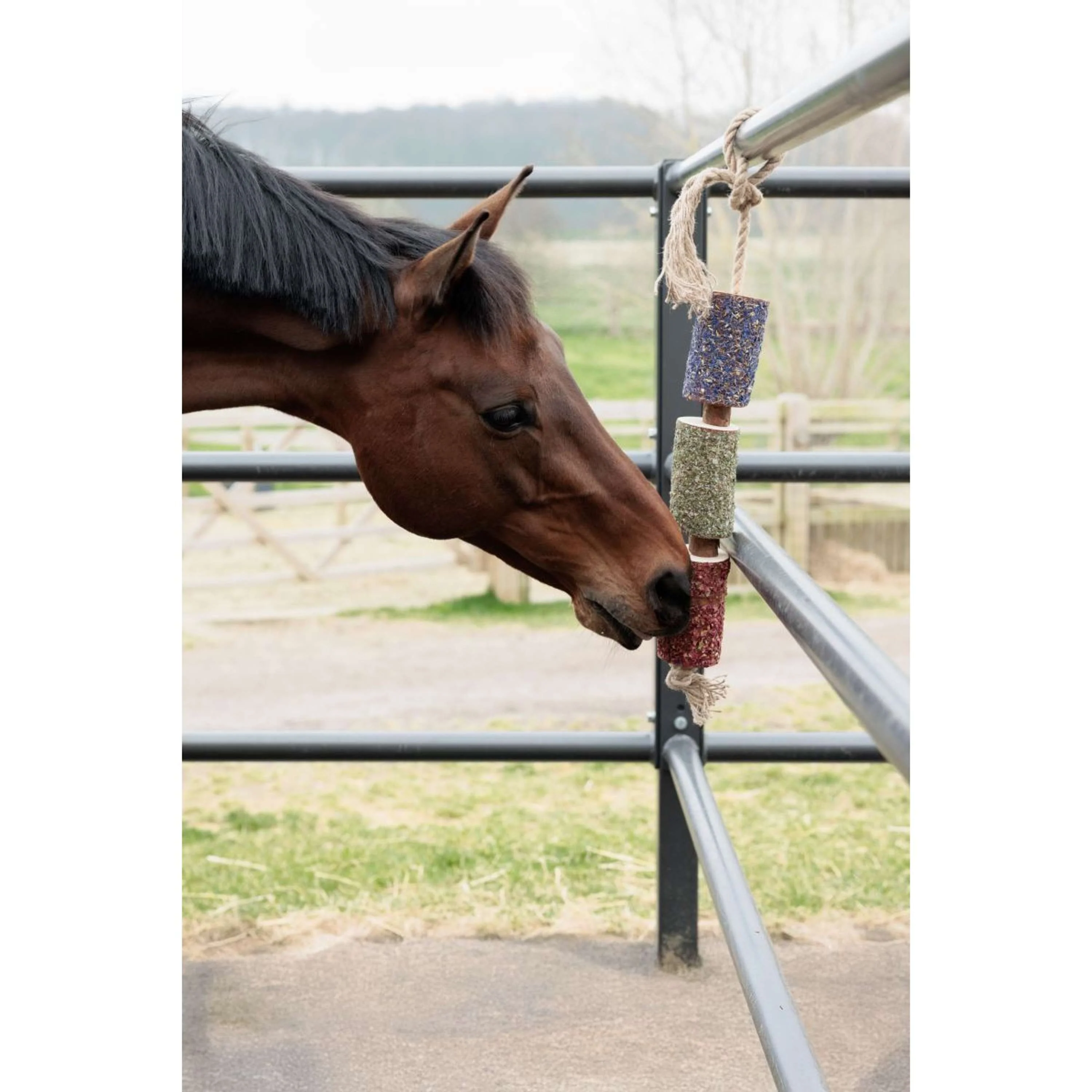 Grooming Deluxe by Kentucky Rilassa il cavallo giocattolo Wooden Freedom - Image 3