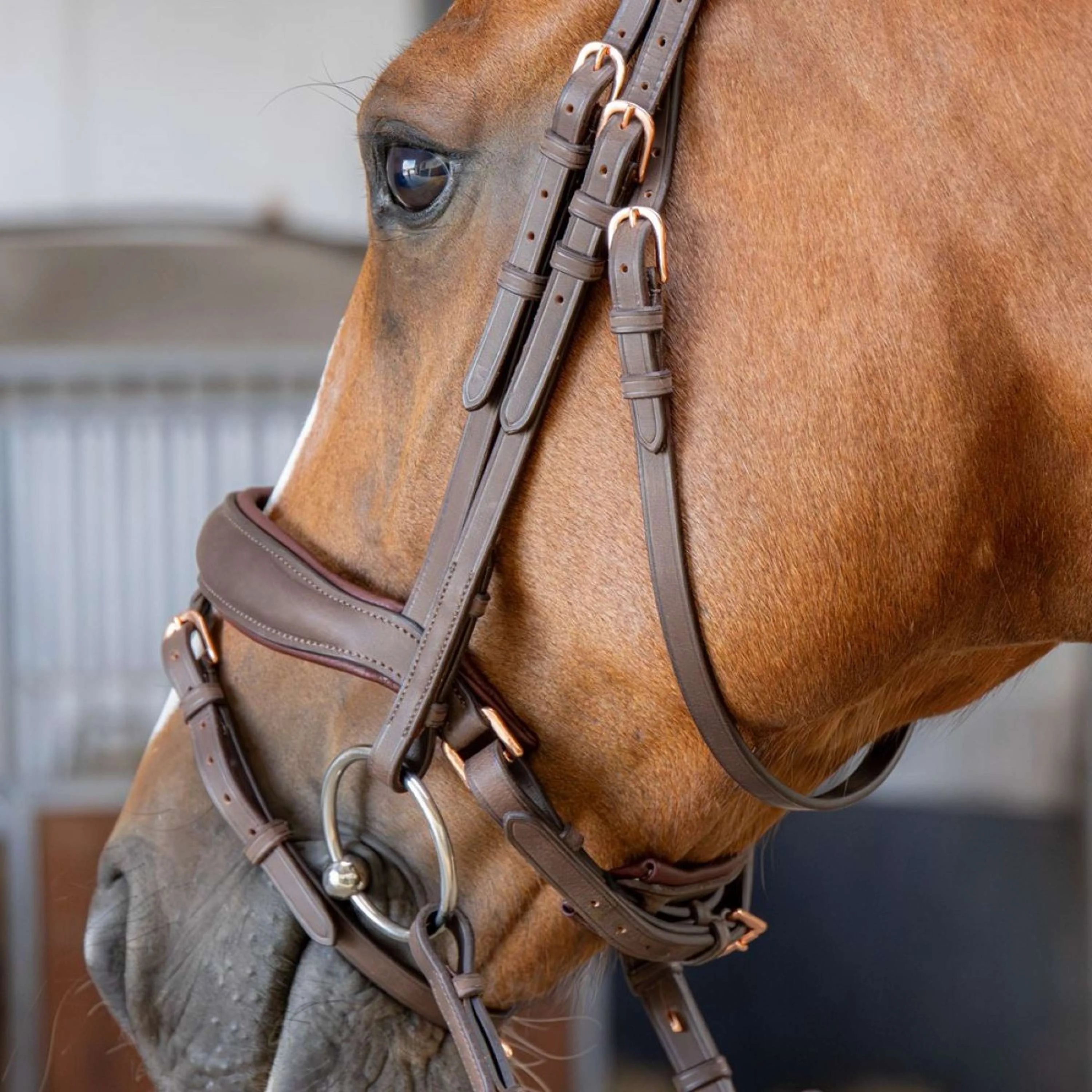 Harry's Horse Briglia Bombastic Crystals Marrone - Image 3