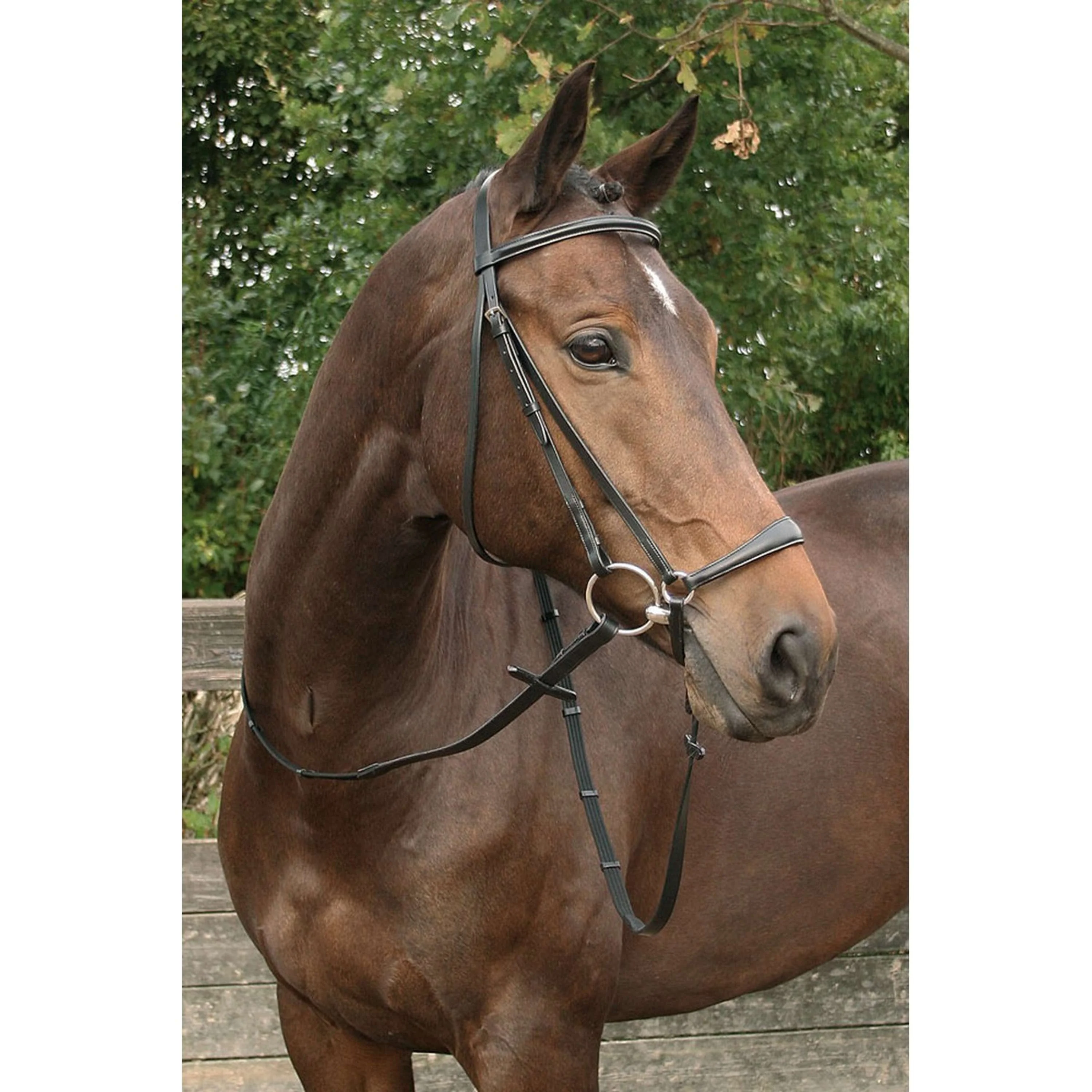 Harry's Horse Briglia Nero - Image 2