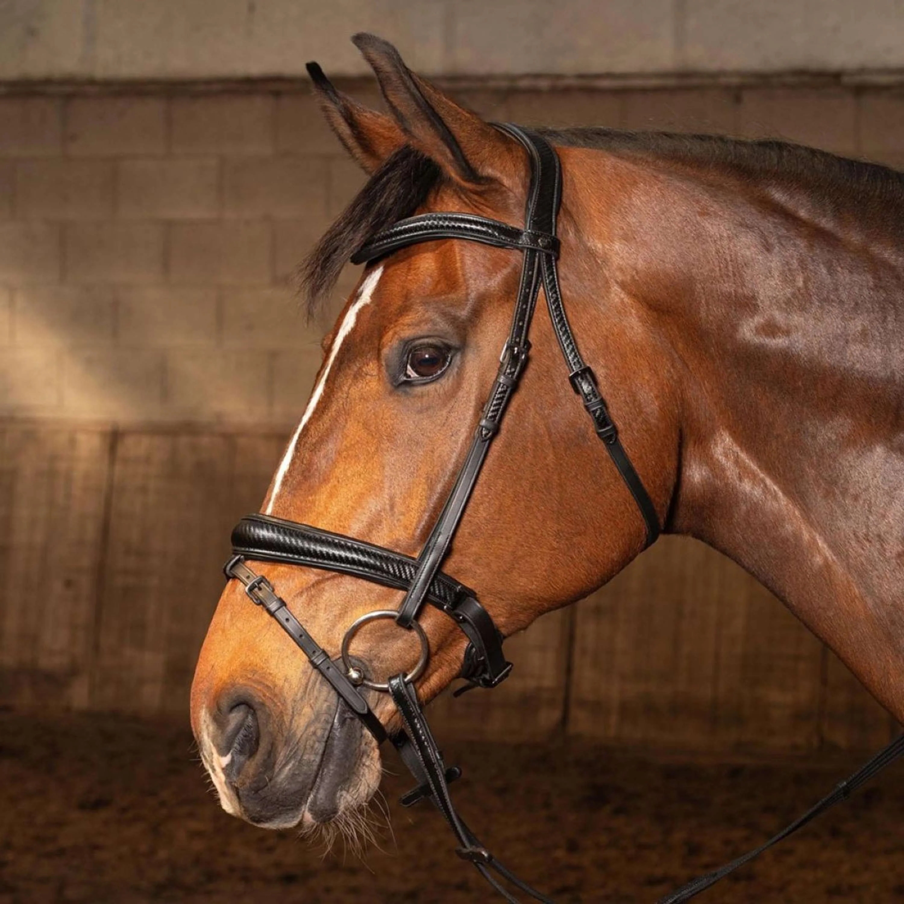 Harry's Horse Briglia Soft Carbon Black Edition Nero - Image 2