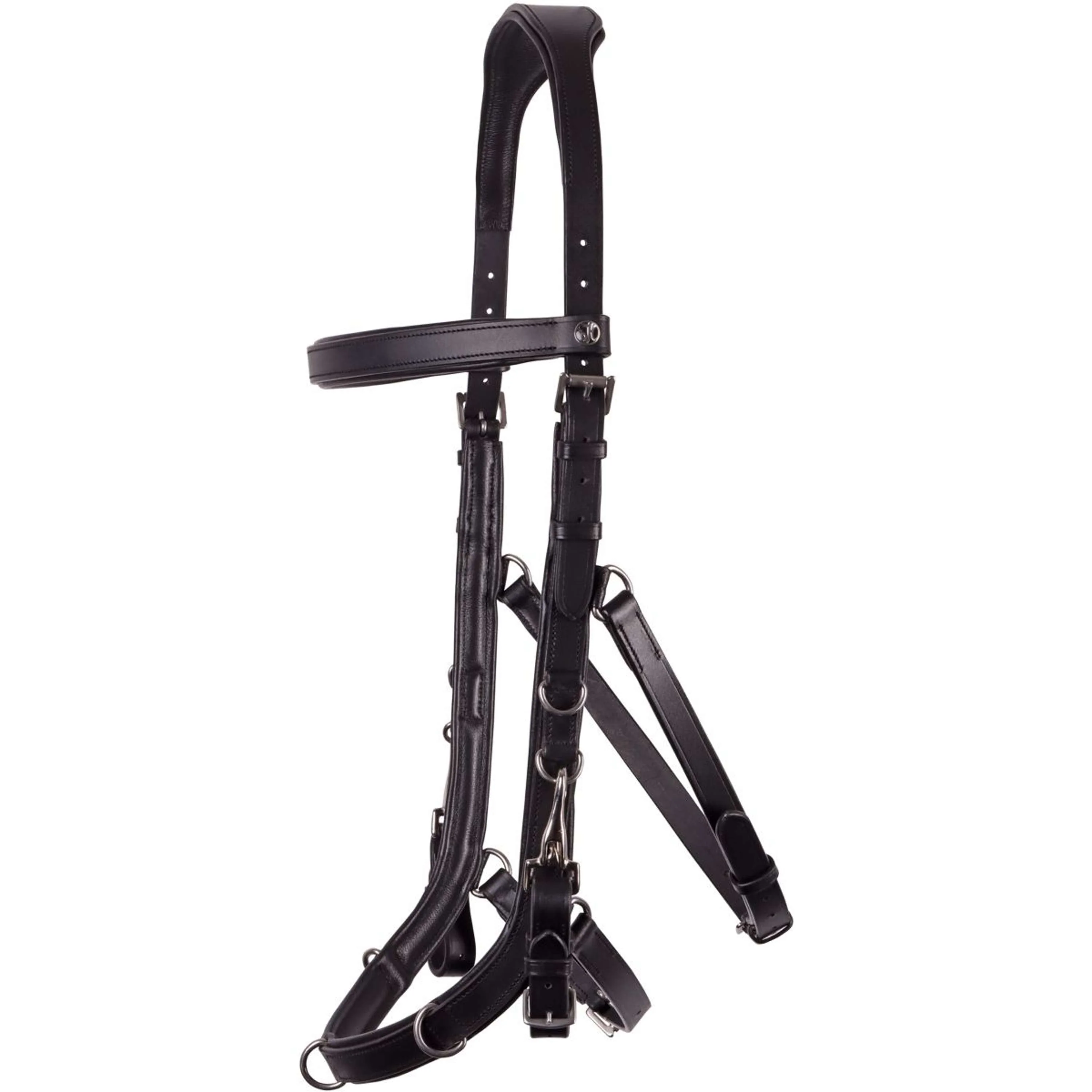 Harry's Horse Capezza Leder Anatomic Nero