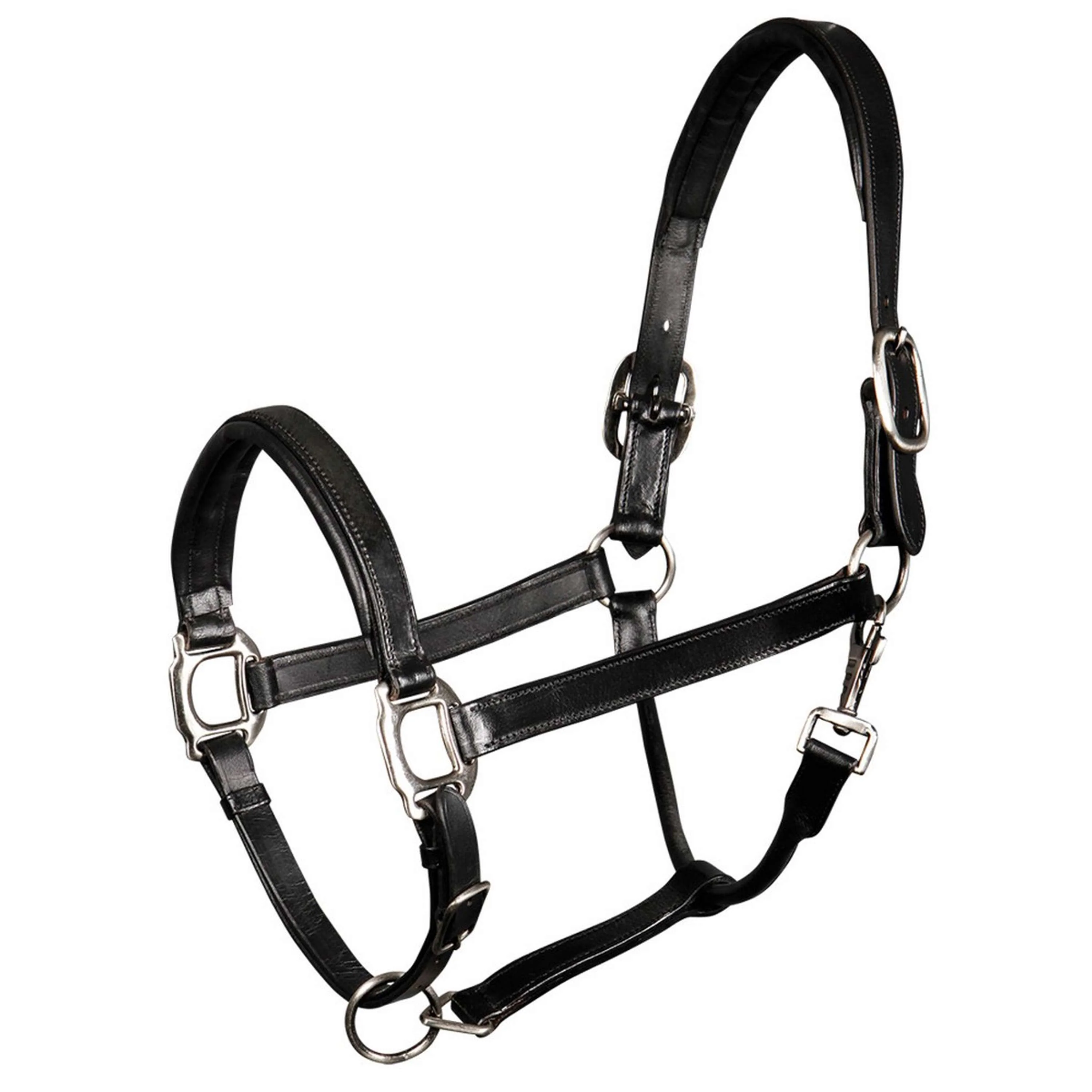 Harry's Horse Cavezza Padded Pelle Nero