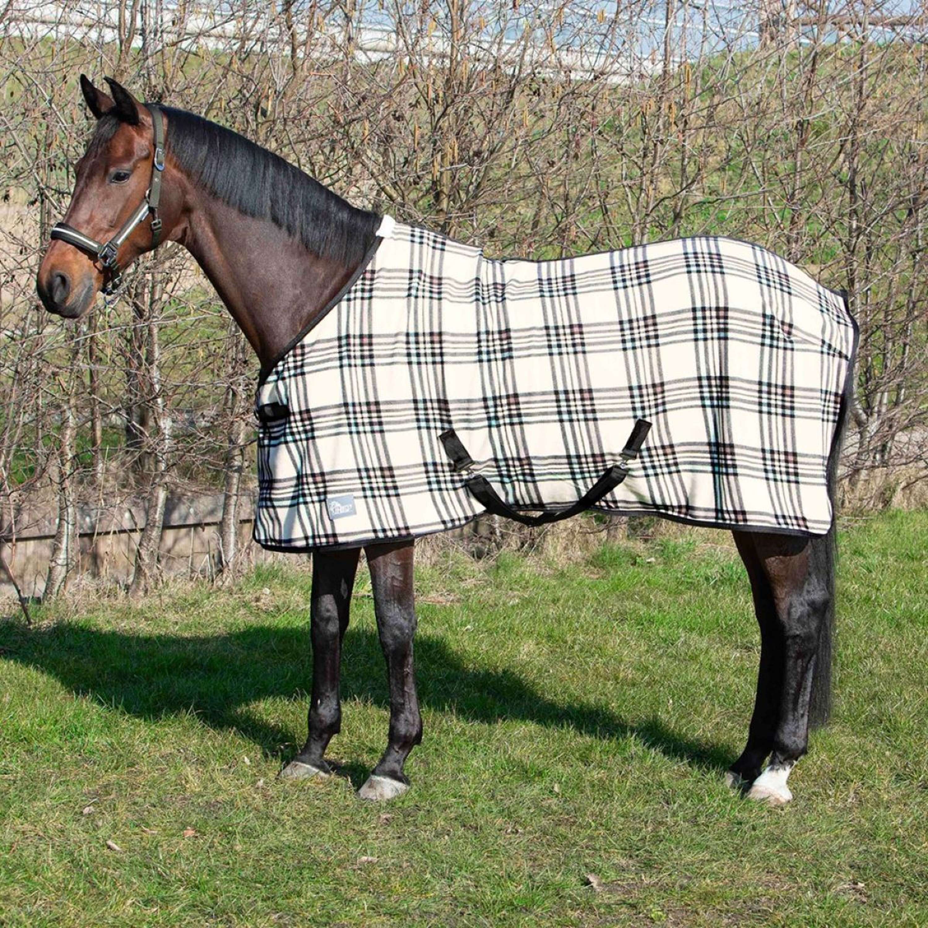 Harry's Horse Coperta in Pile Check Crema - Image 2
