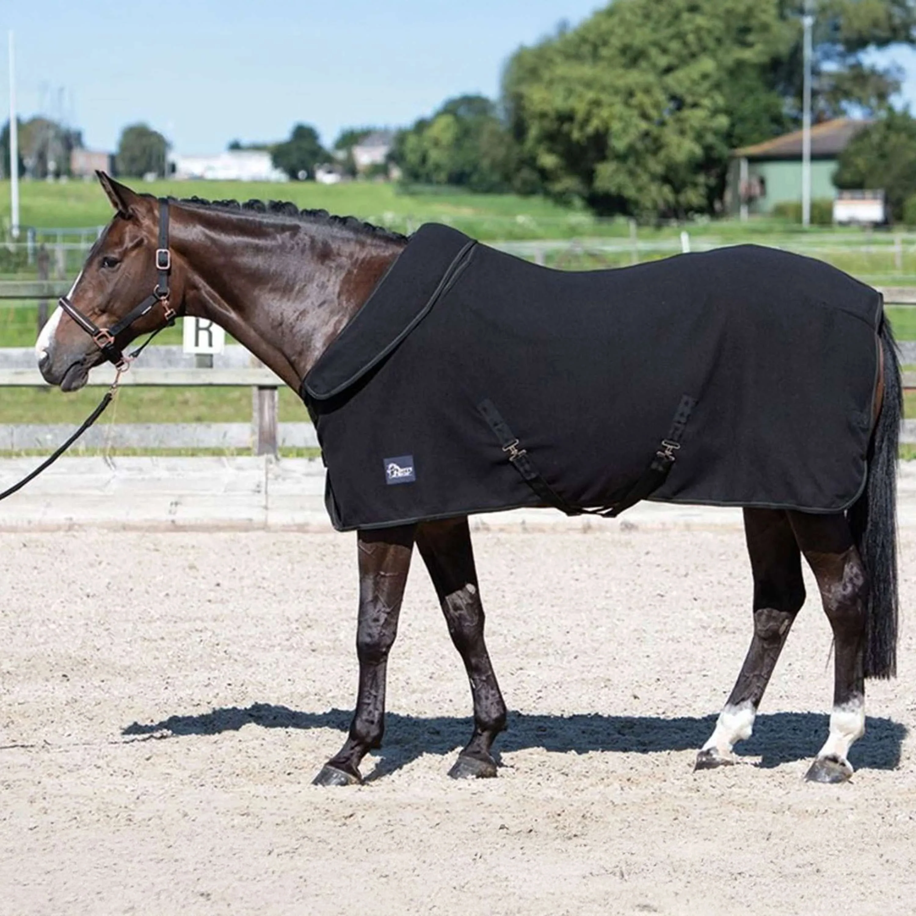 Harry's Horse Coperta in Pile Nero - Image 2