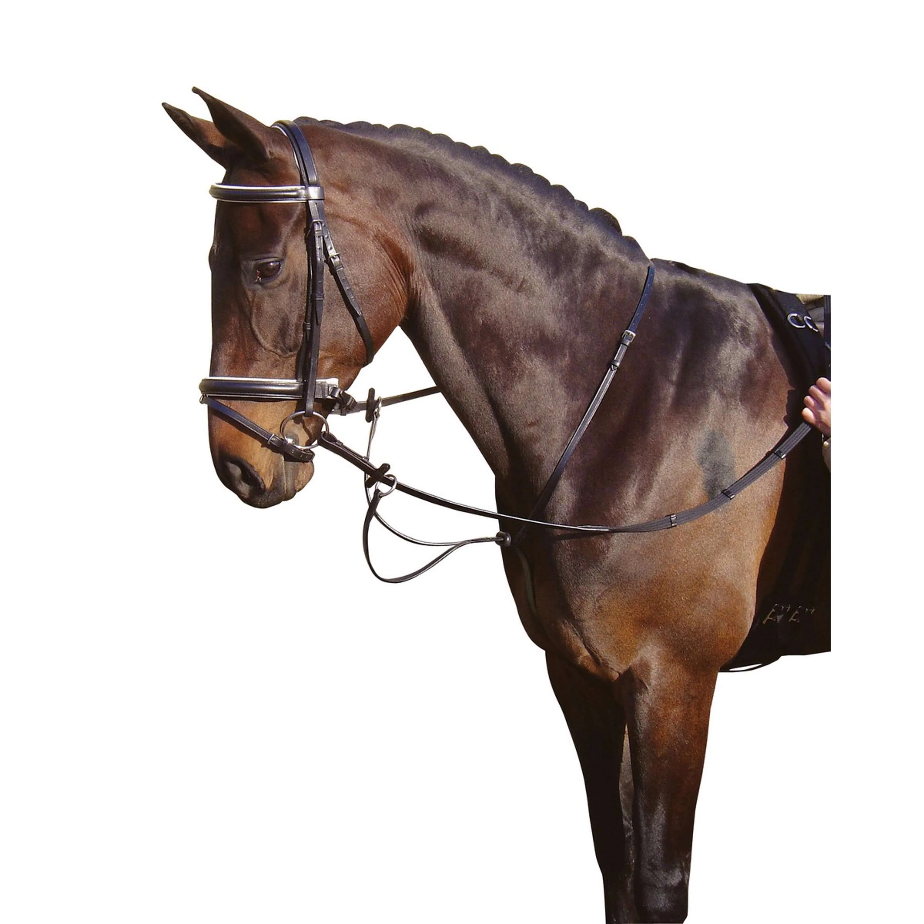 Harry's Horse Martingala Nero - Image 3