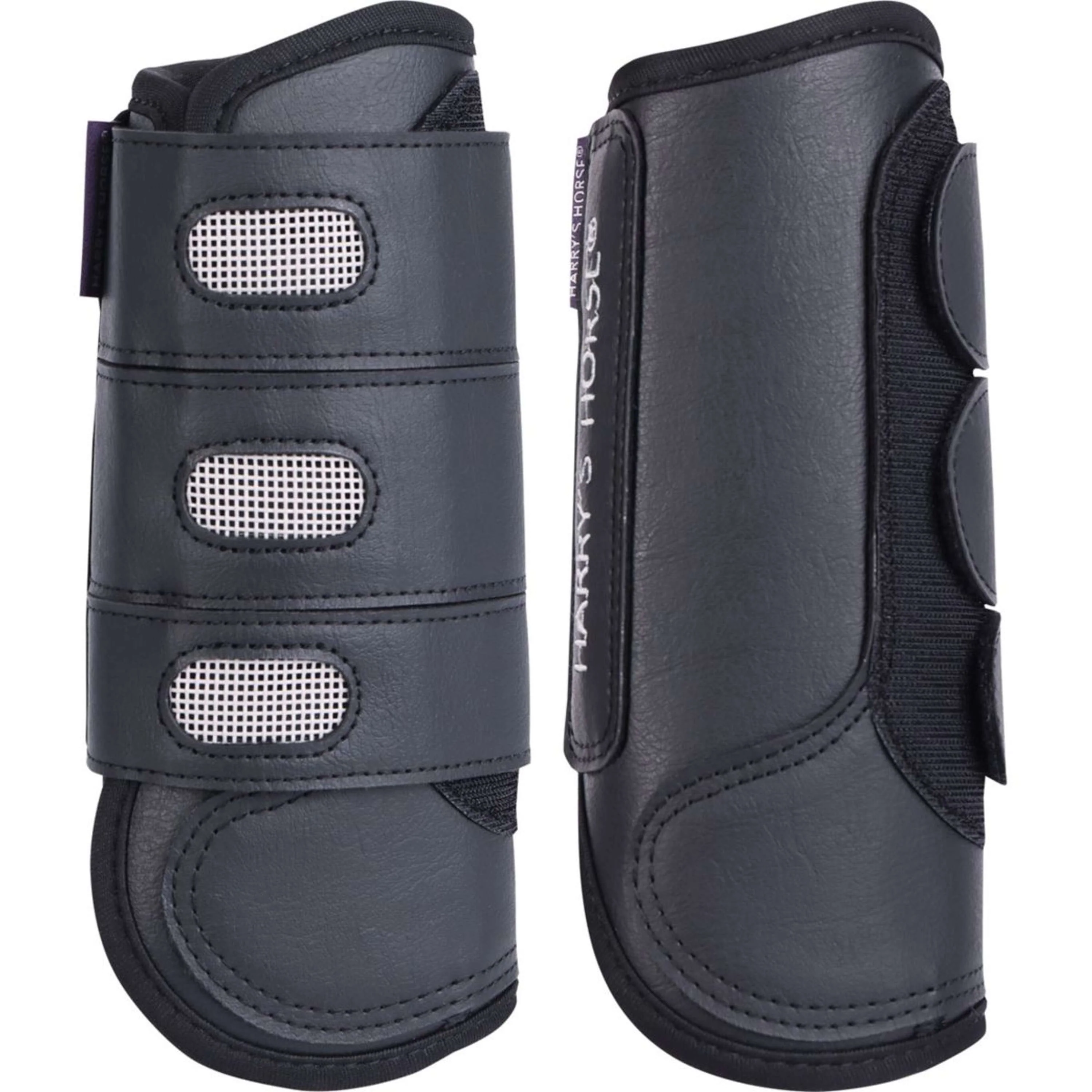 Harry's Horse Parastinchi Eventing Front Nero