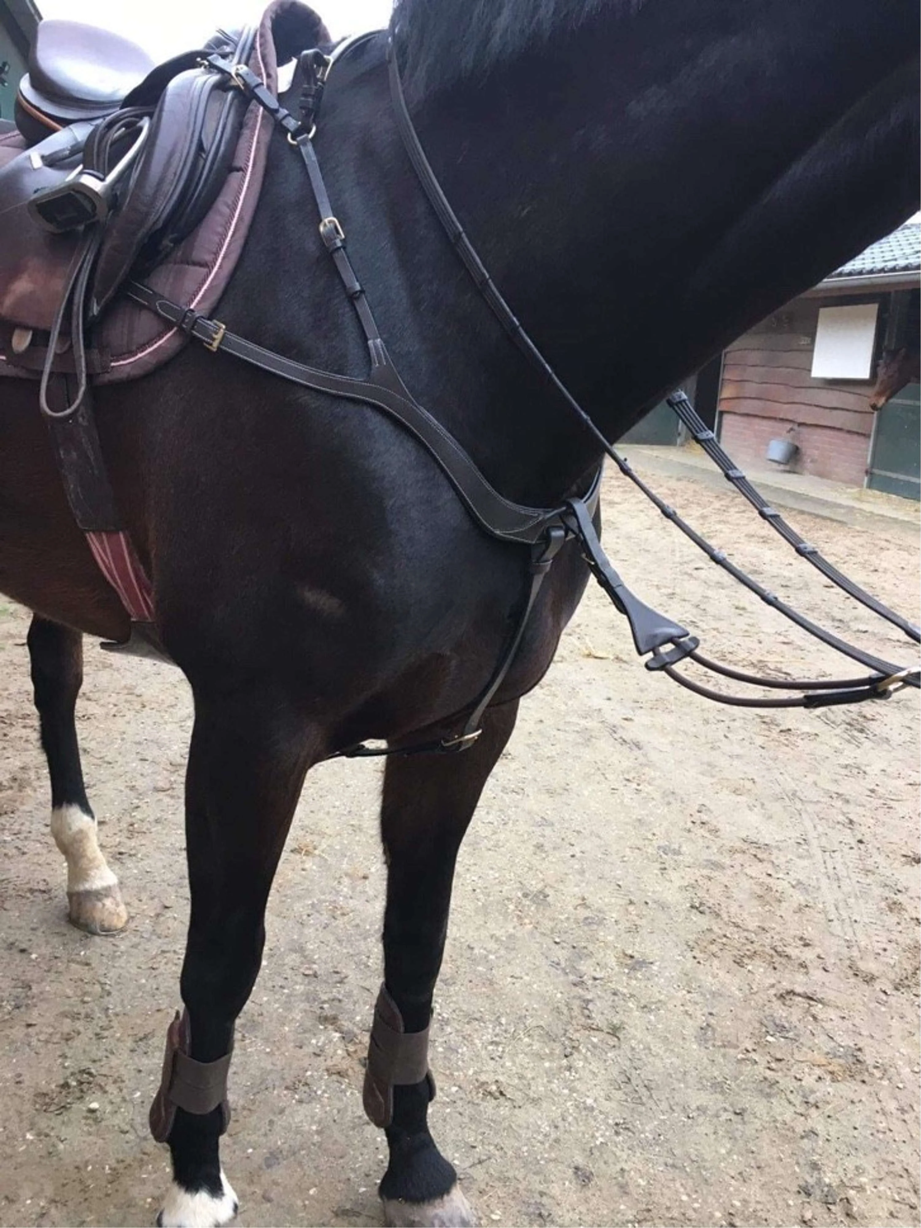 Harry's Horse Pettorale Deluxe Marrone - Image 4