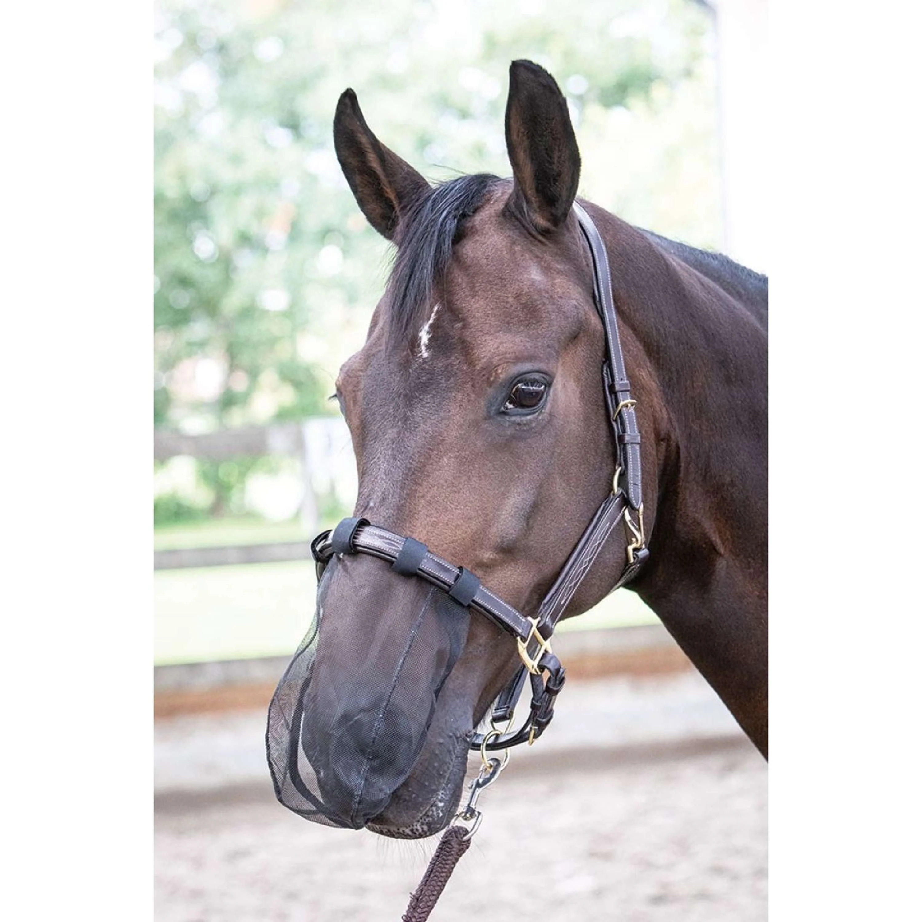 Harry's Horse Protettore Nasale Nose Net Nero - Image 2