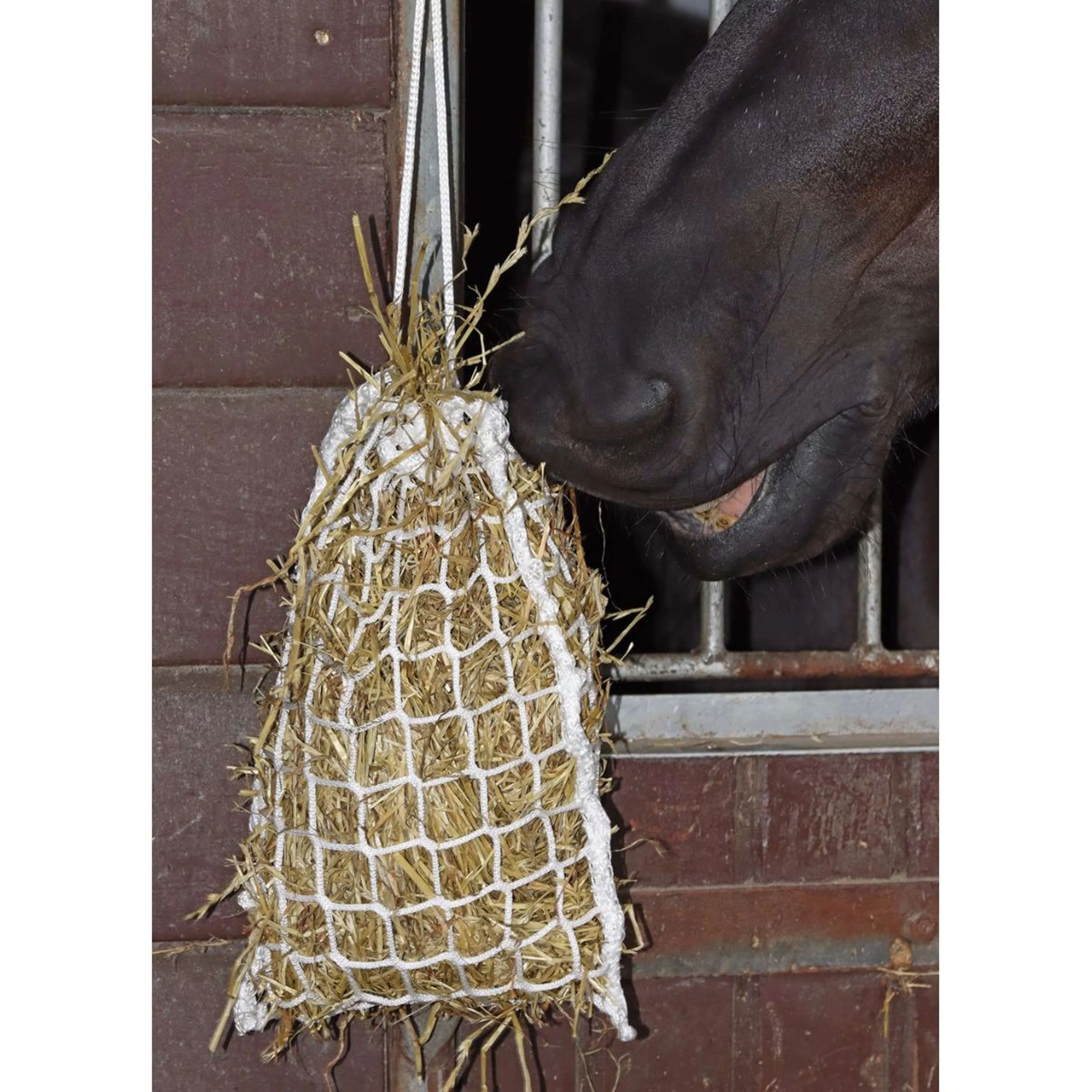 Harry's Horse Rete da Fieno Slow Feeder Mini Bianco - Image 2