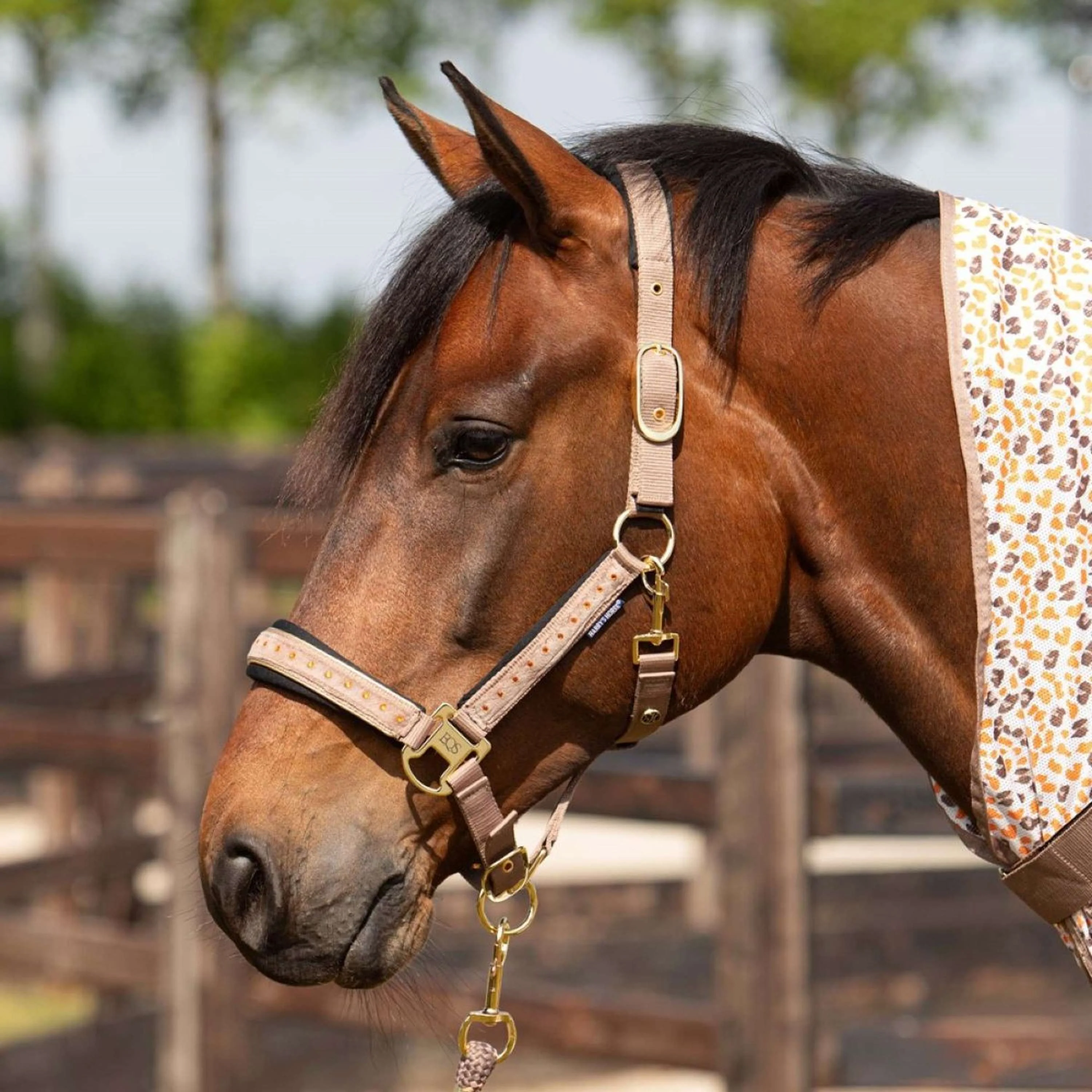 Harry's Horse Set Cavezza Crystal Taupe Grey - Image 2