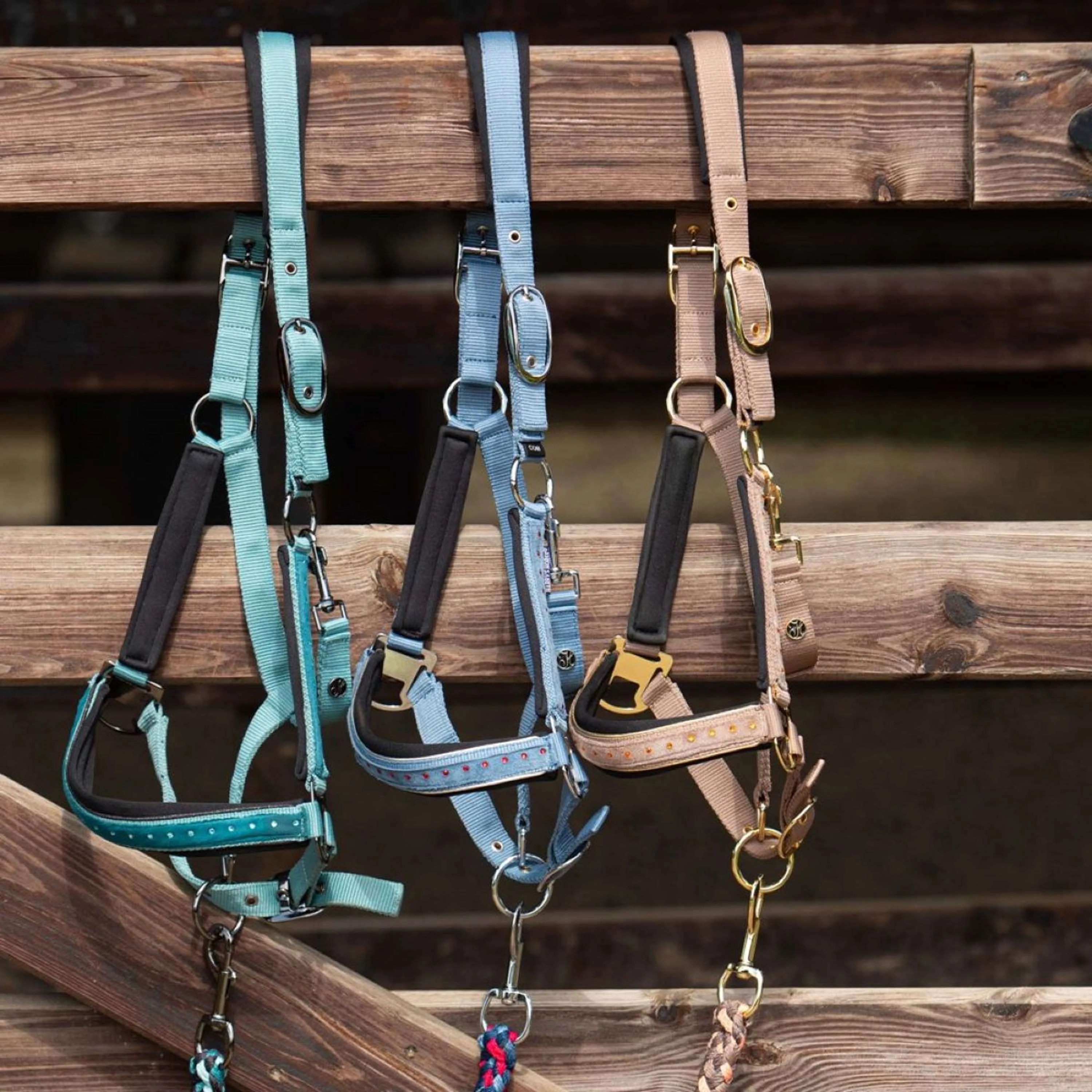 Harry's Horse Set Cavezza Crystal Blue Heaven - Image 3