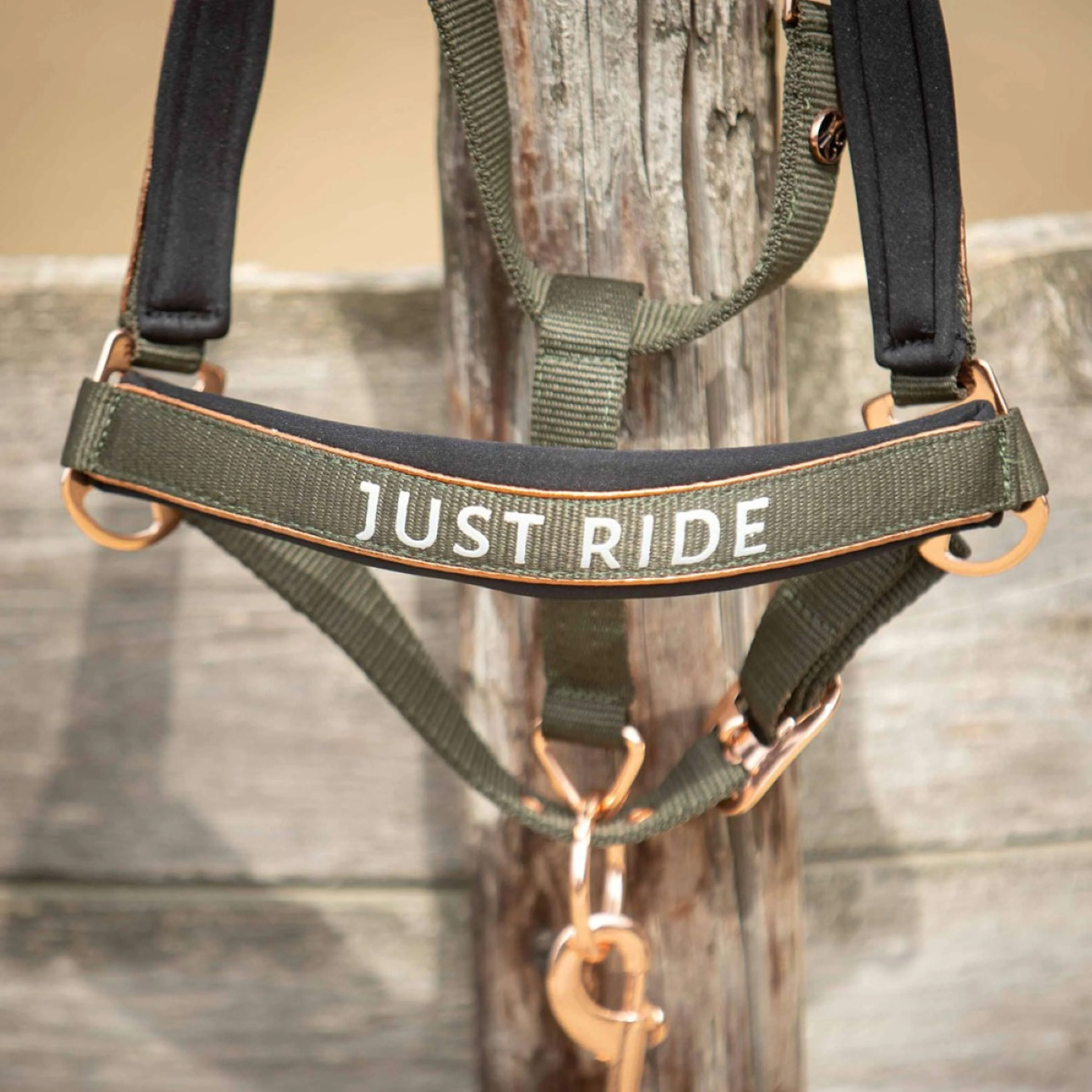 Harry's Horse Set Cavezza Just Ride Summer Chique Kambaba - Image 2