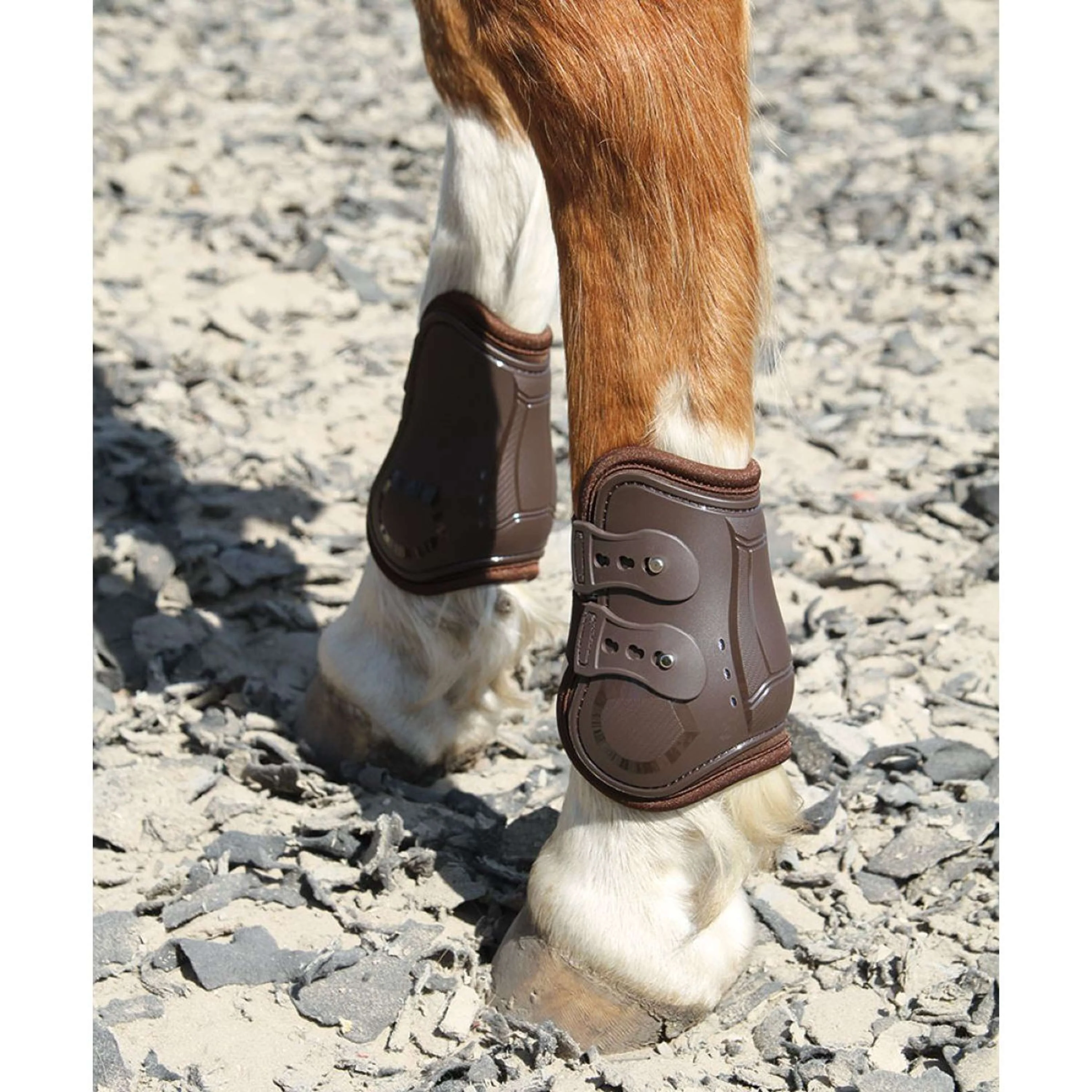 Harry's Horse Stinchiere Percy Air Marrone - Image 2