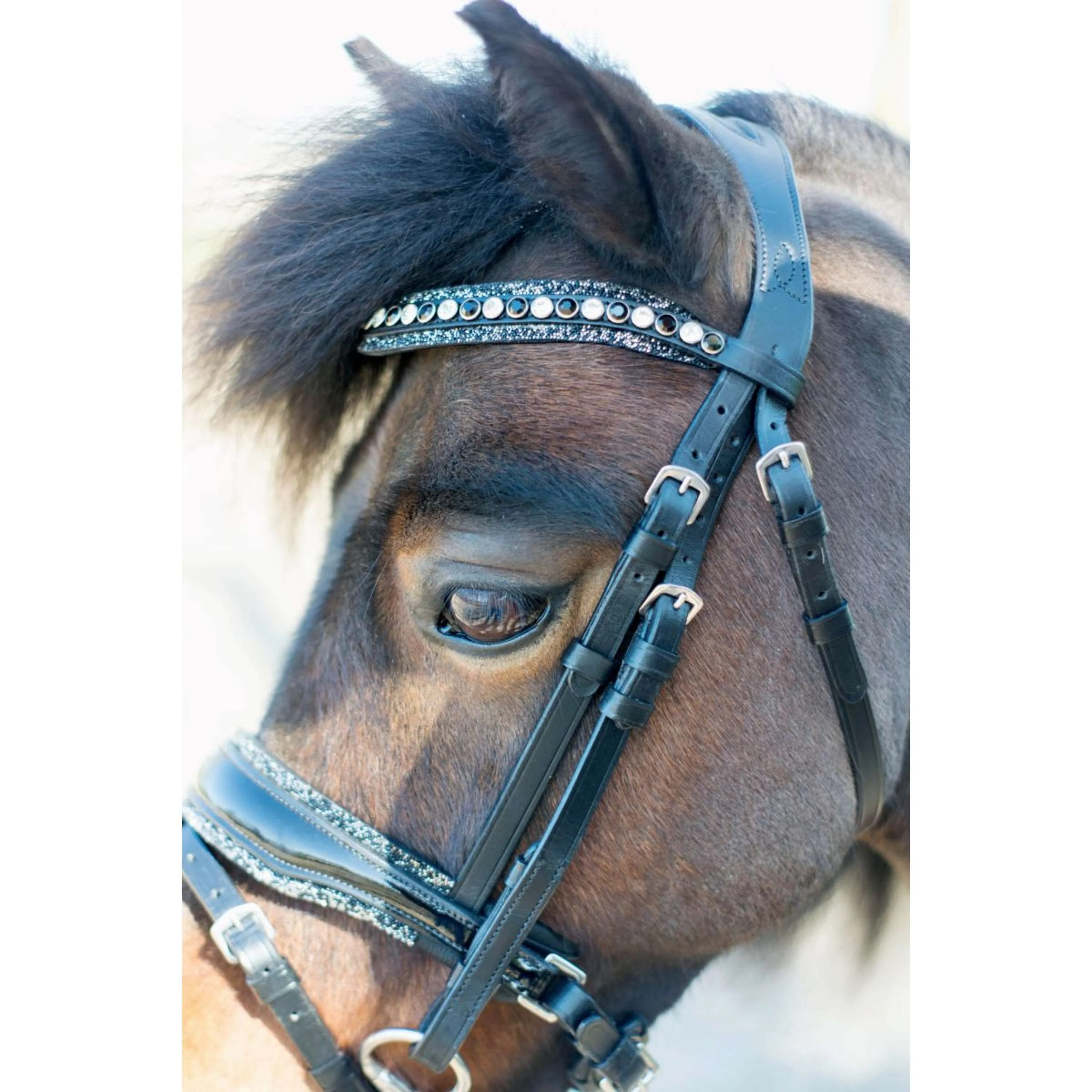 HB Briglia Rocky Glitter/Nero - Image 2