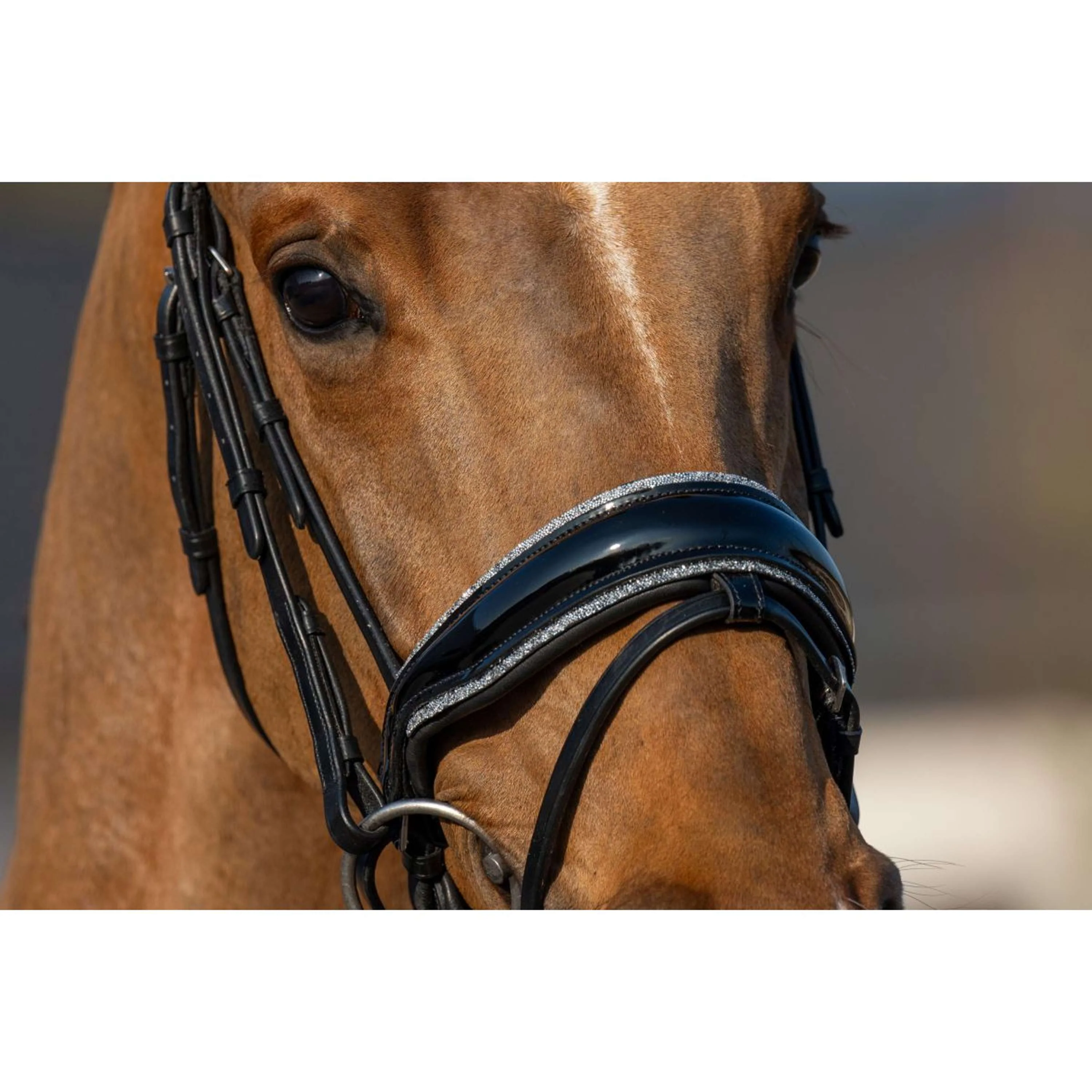 HB Briglia Showtime It is So Special Glitter nero/argento - Image 2