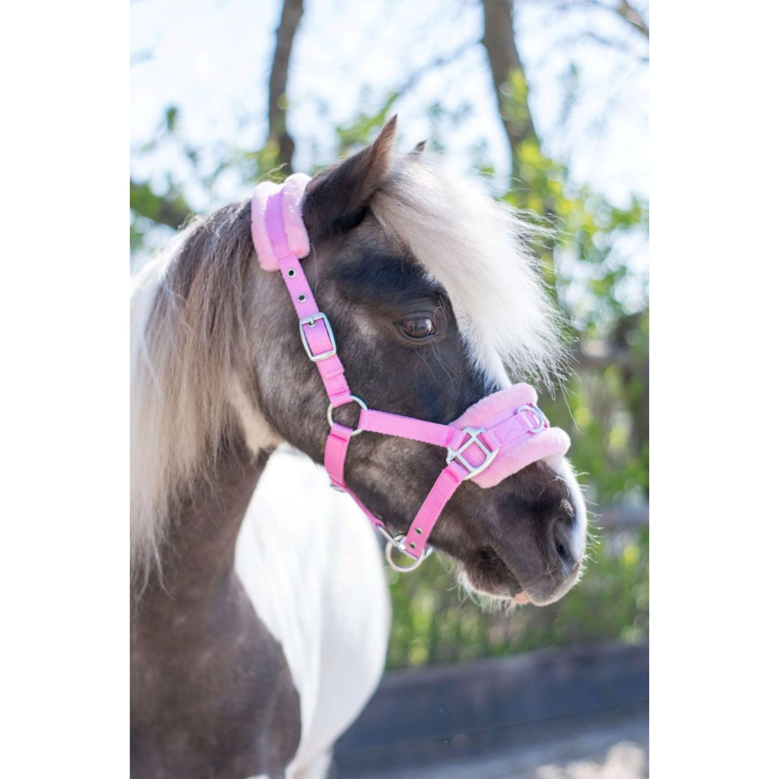 HB Cavezza Nylon Cavezzone Rosa - Image 2