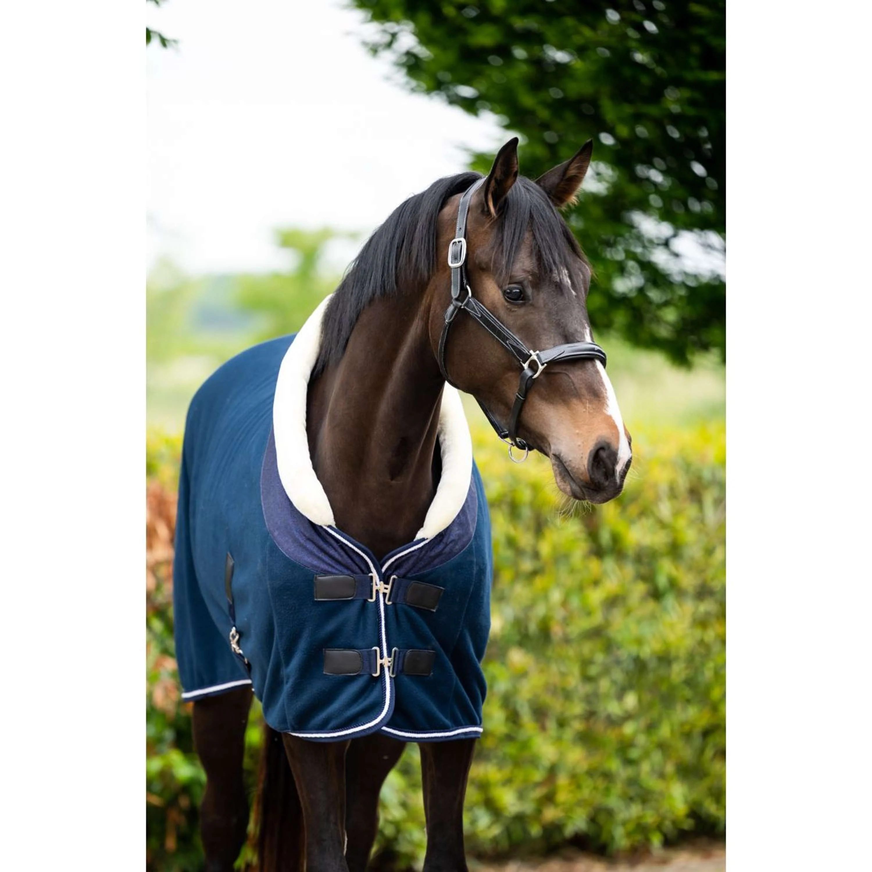 HB Coperta da esposizione Crown Navy - Image 3