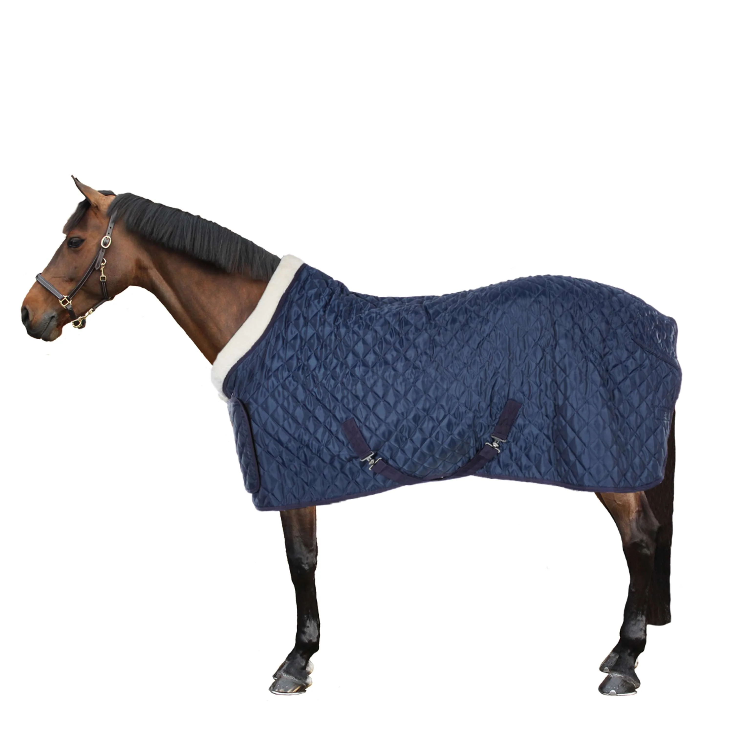HB Coperta da esposizione Desire160gr Blu acciaio