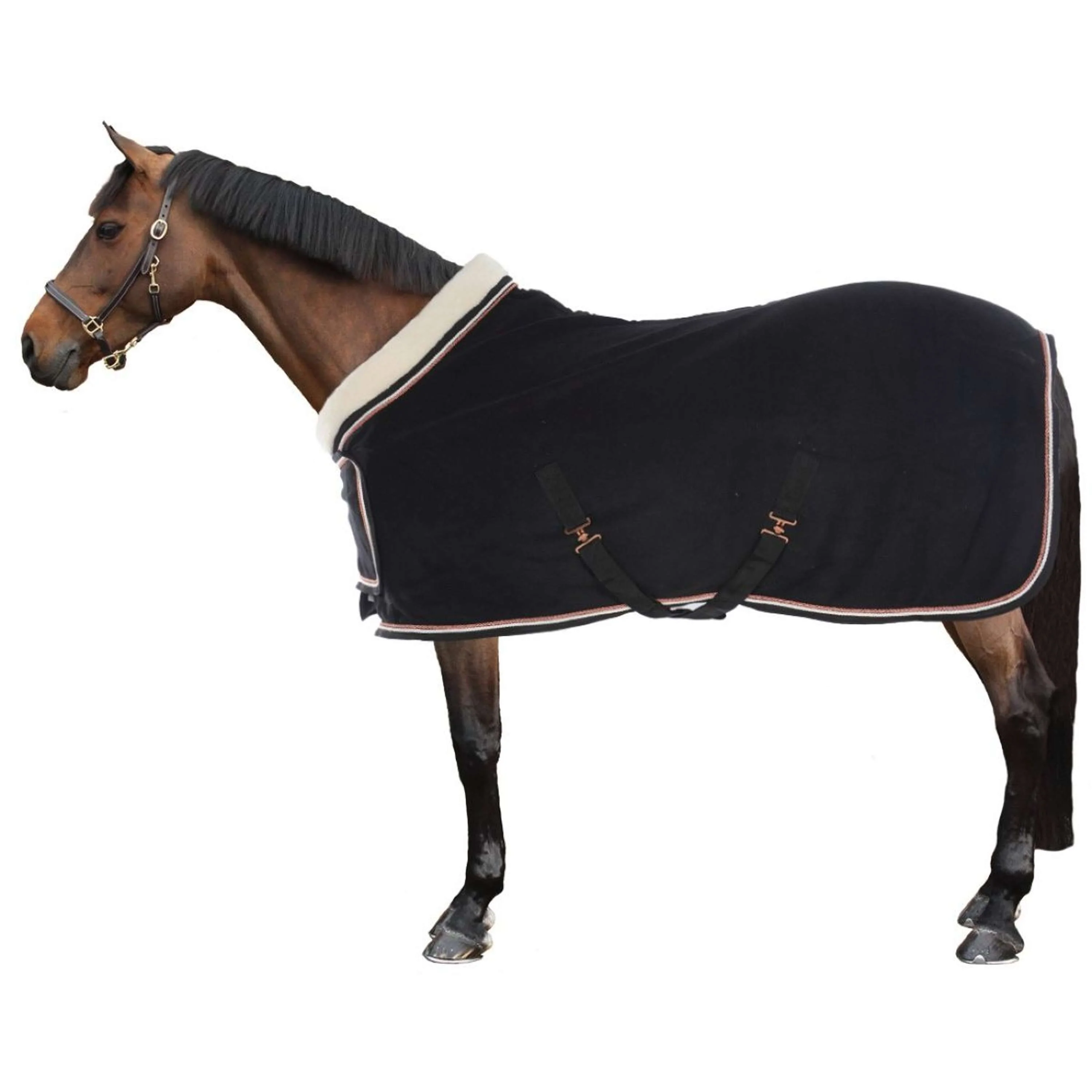 HB Coperta da esposizione Dutch Crown Europe Rose Nero - Image 4